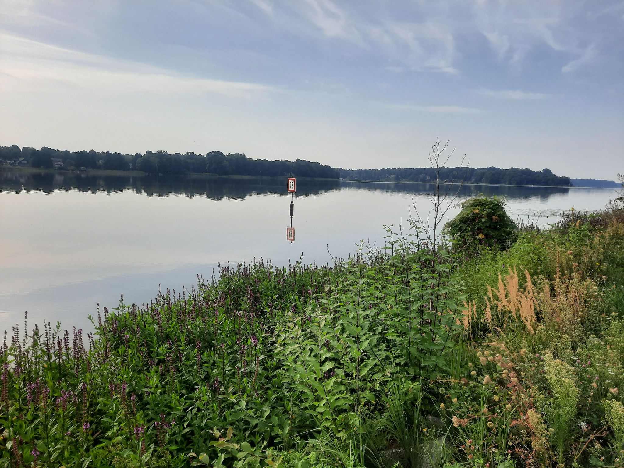 Neuruppiner See