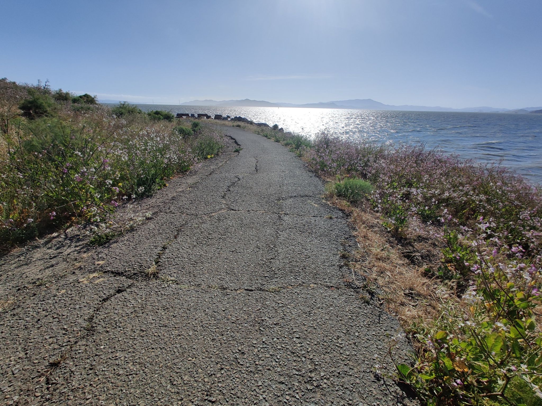 Cracked paved path alongside a bright, sun-drenched water body with distant hills. - Berkeley Marina Loop Trail