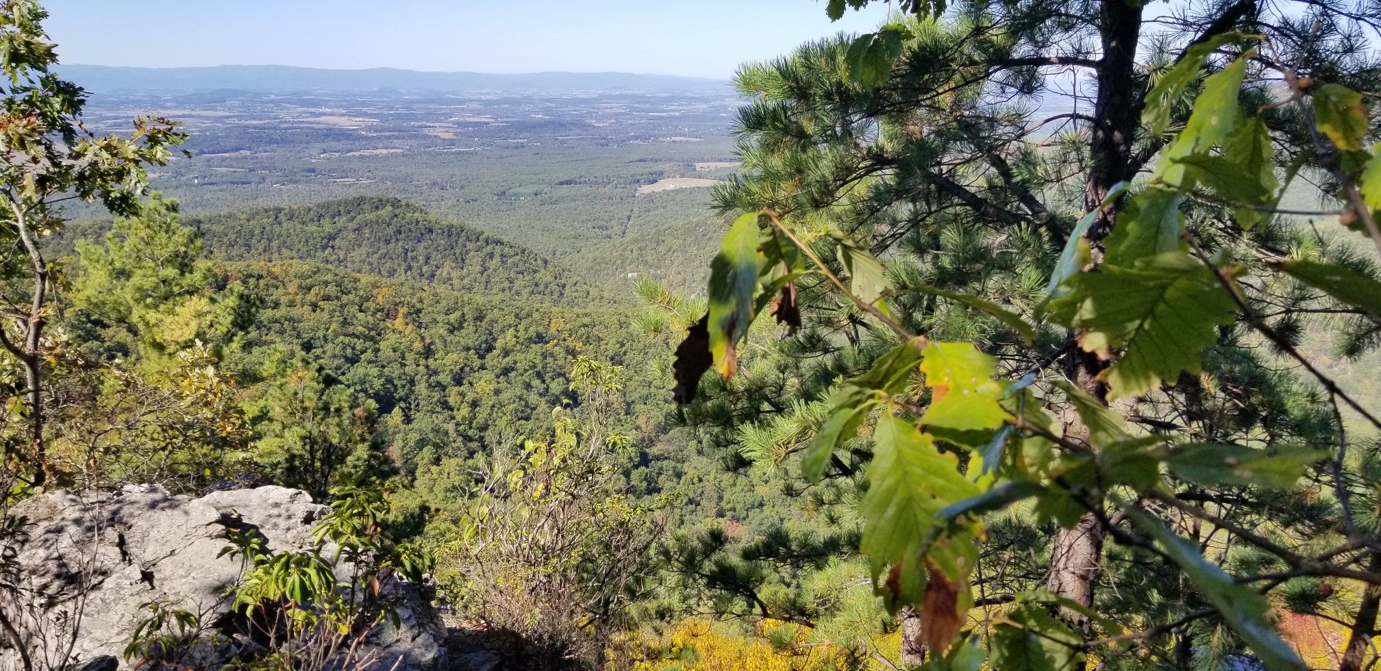 Panoramic mountain vista with dense green forests under a clear sky. - Riprap and Wildcat Ridge Loop