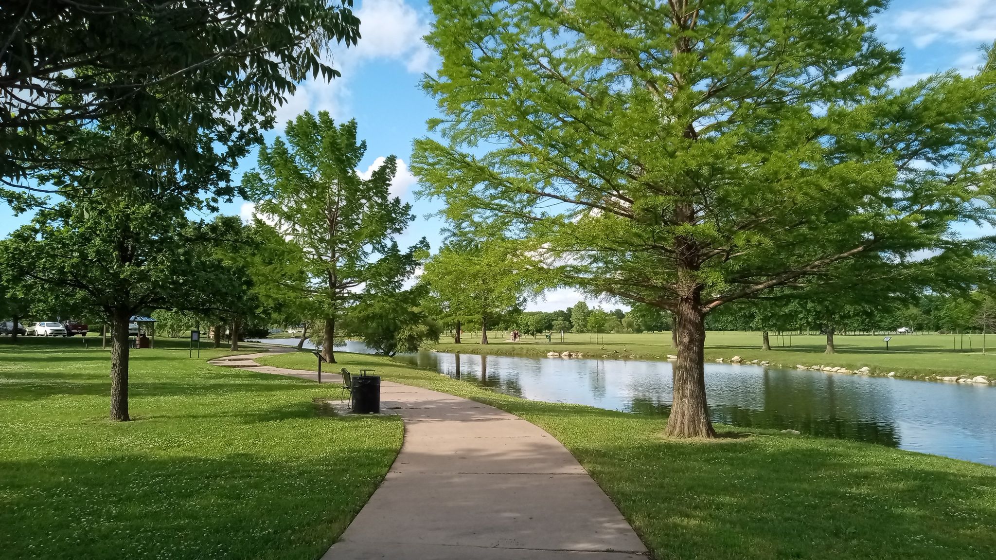 A paved path winds through a sunny park with green grass, trees, and a calm river. - High Park Loop