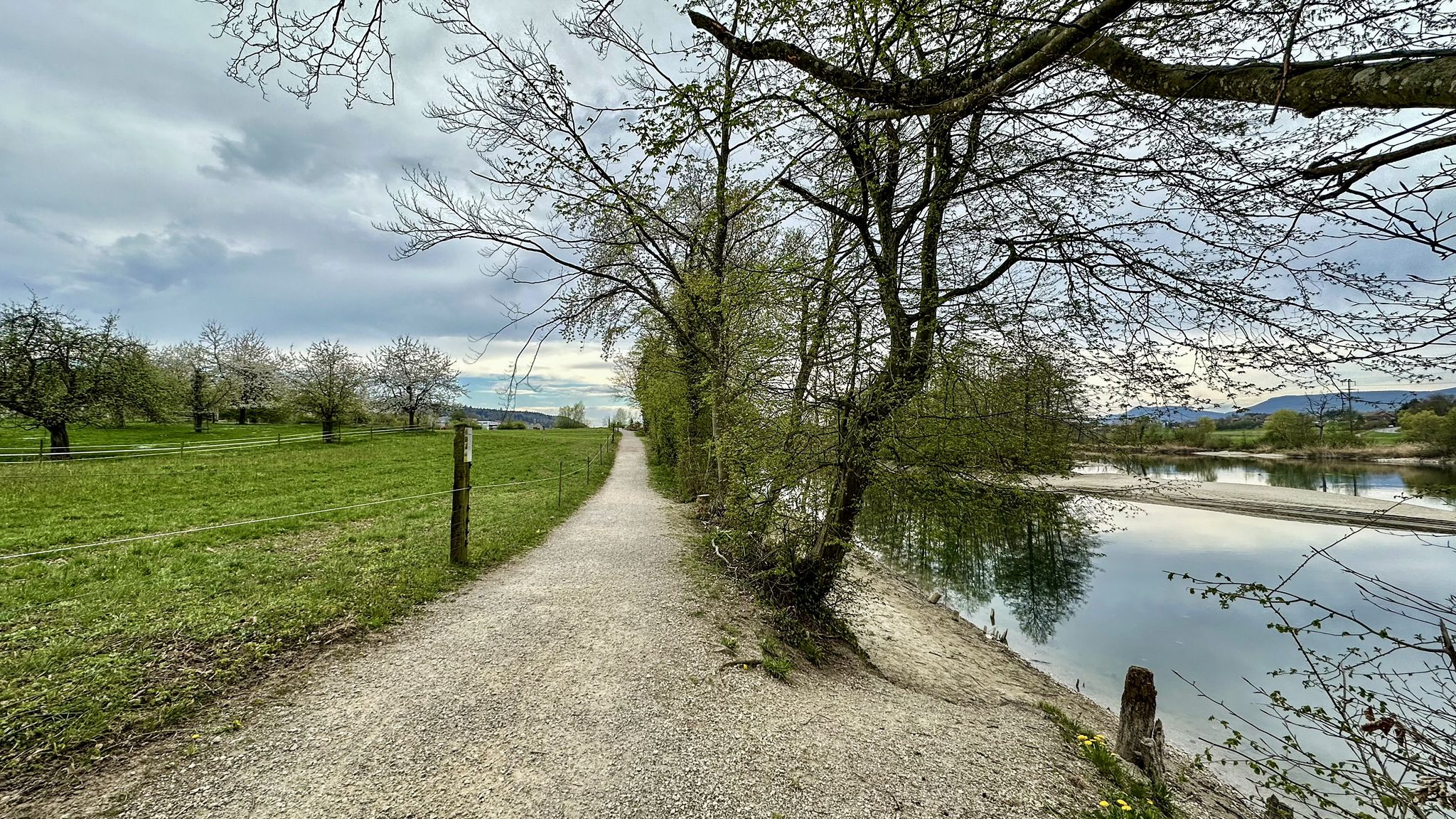 ...zurück geht's auf der anderen Seite der Aare...