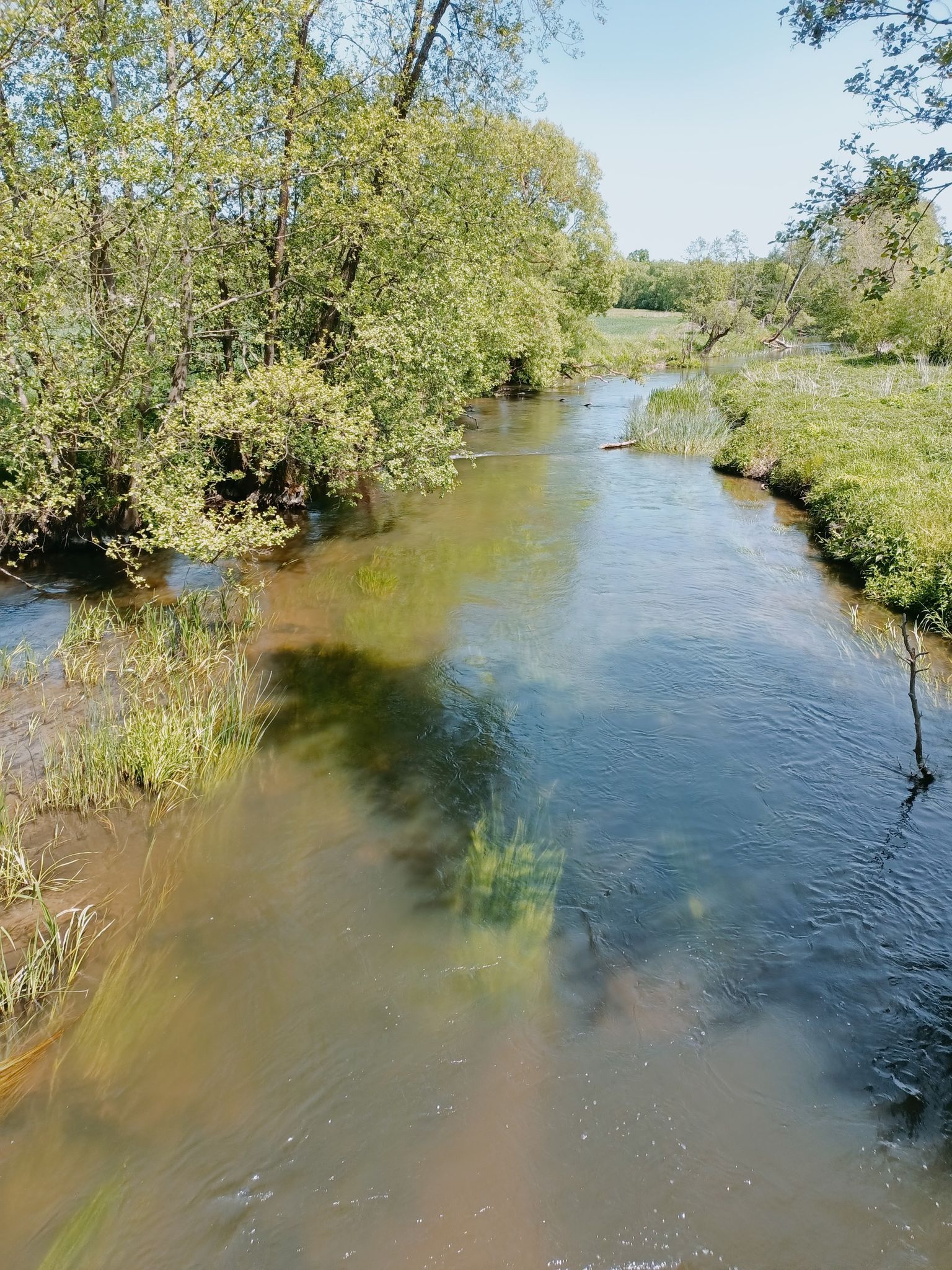 Jeden z ciekawszych odcinków Wierzycy