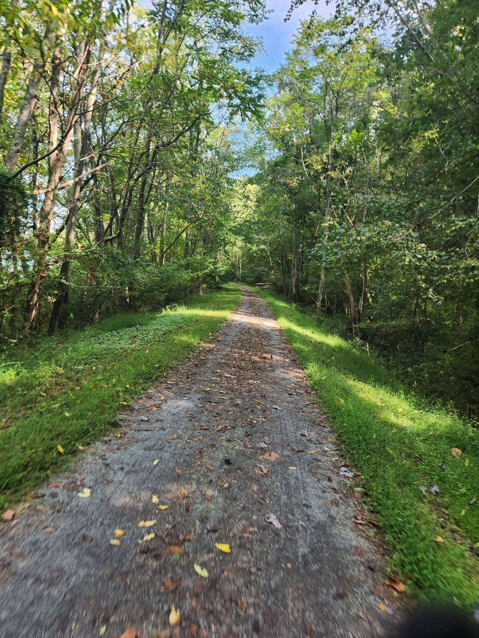 A gravel path lined with lush green trees and fallen leaves in bright sunlight. - Mon River Trail South loop from Uffington