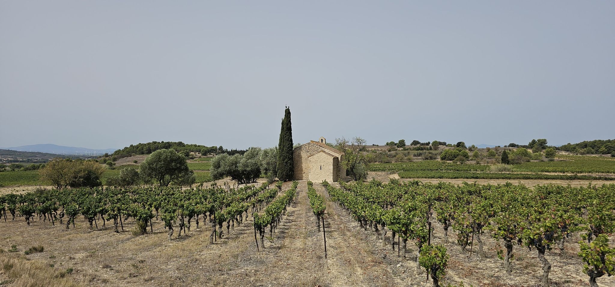 une petite chapelle dans les vignes
