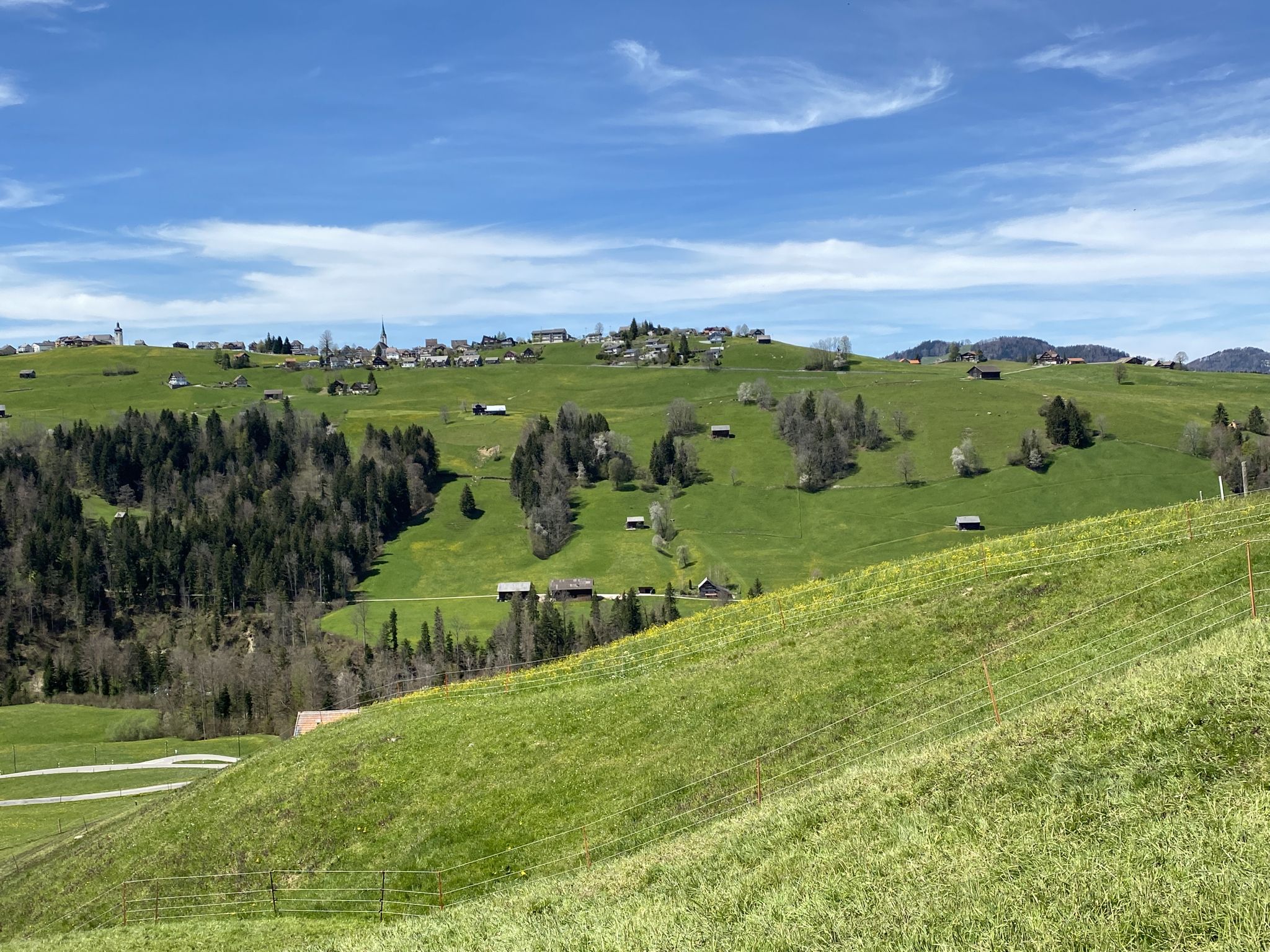 Hemberg 