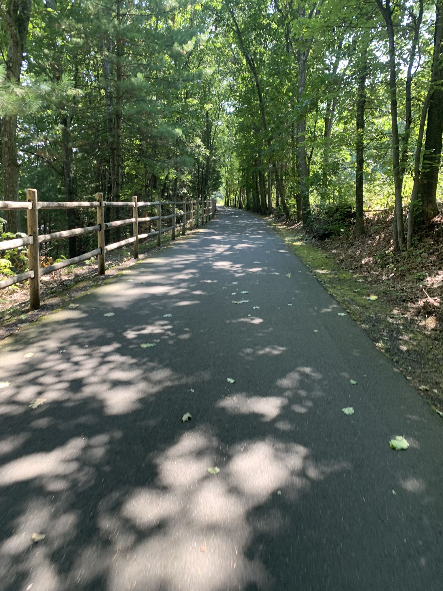 Shaded paved path with a wooden fence, surrounded by green trees. - View of the Farmington River – Farmington River Trail loop from Town of Avon Open Space