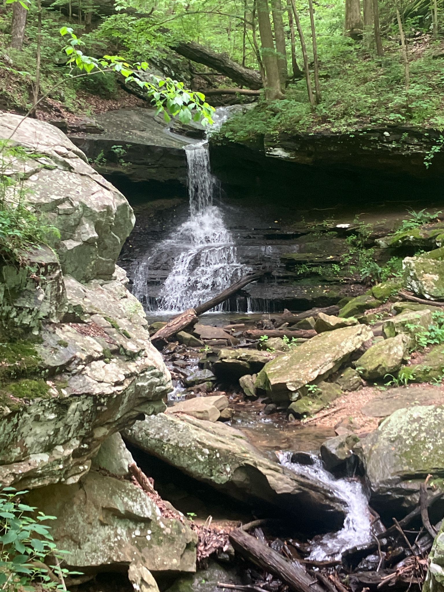 Waterfall cascading over dark rock ledges into a rocky stream. - Clara's Point loop from Sewanee