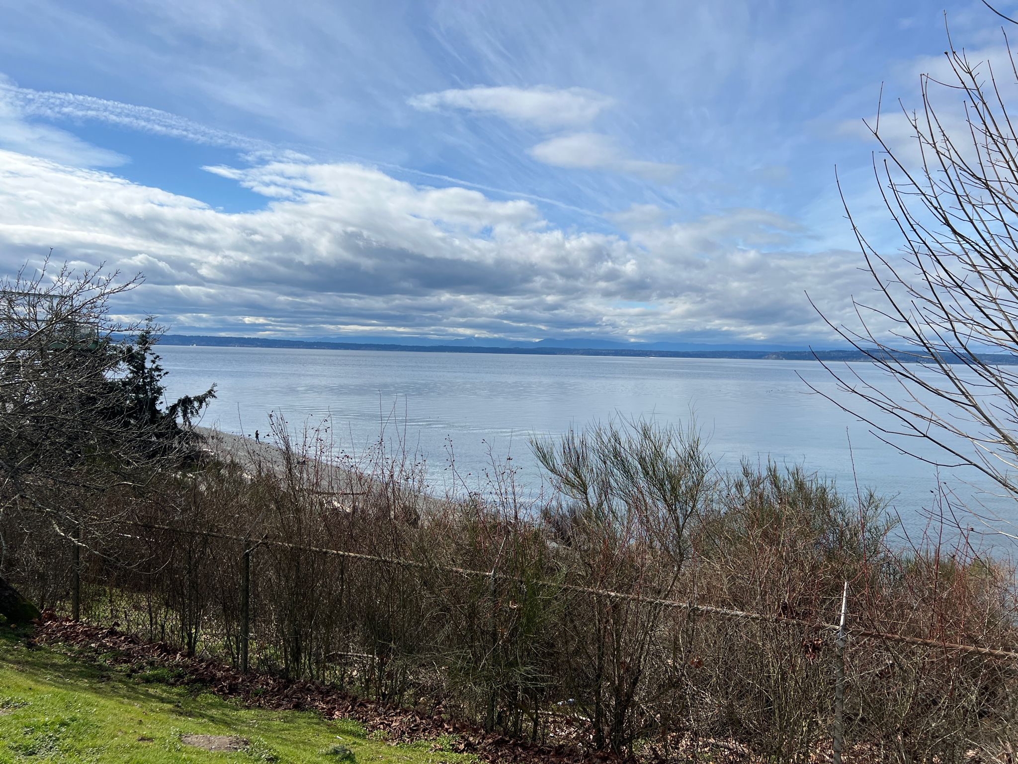 A wide body of water under a partly cloudy sky, with trees and grass. - Carkeek Park Piper's Creek and Ridge Loop