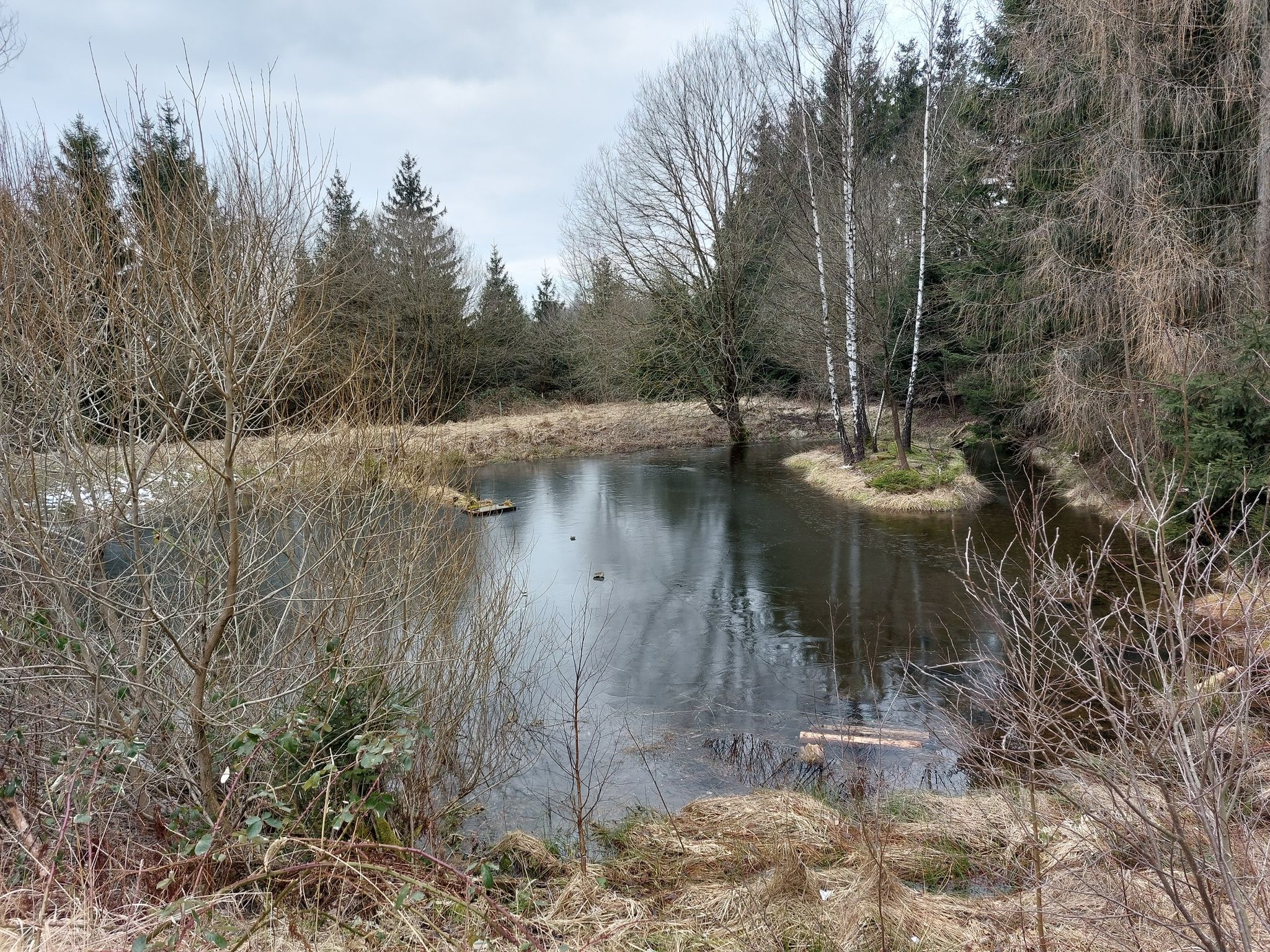 romantischer Teich