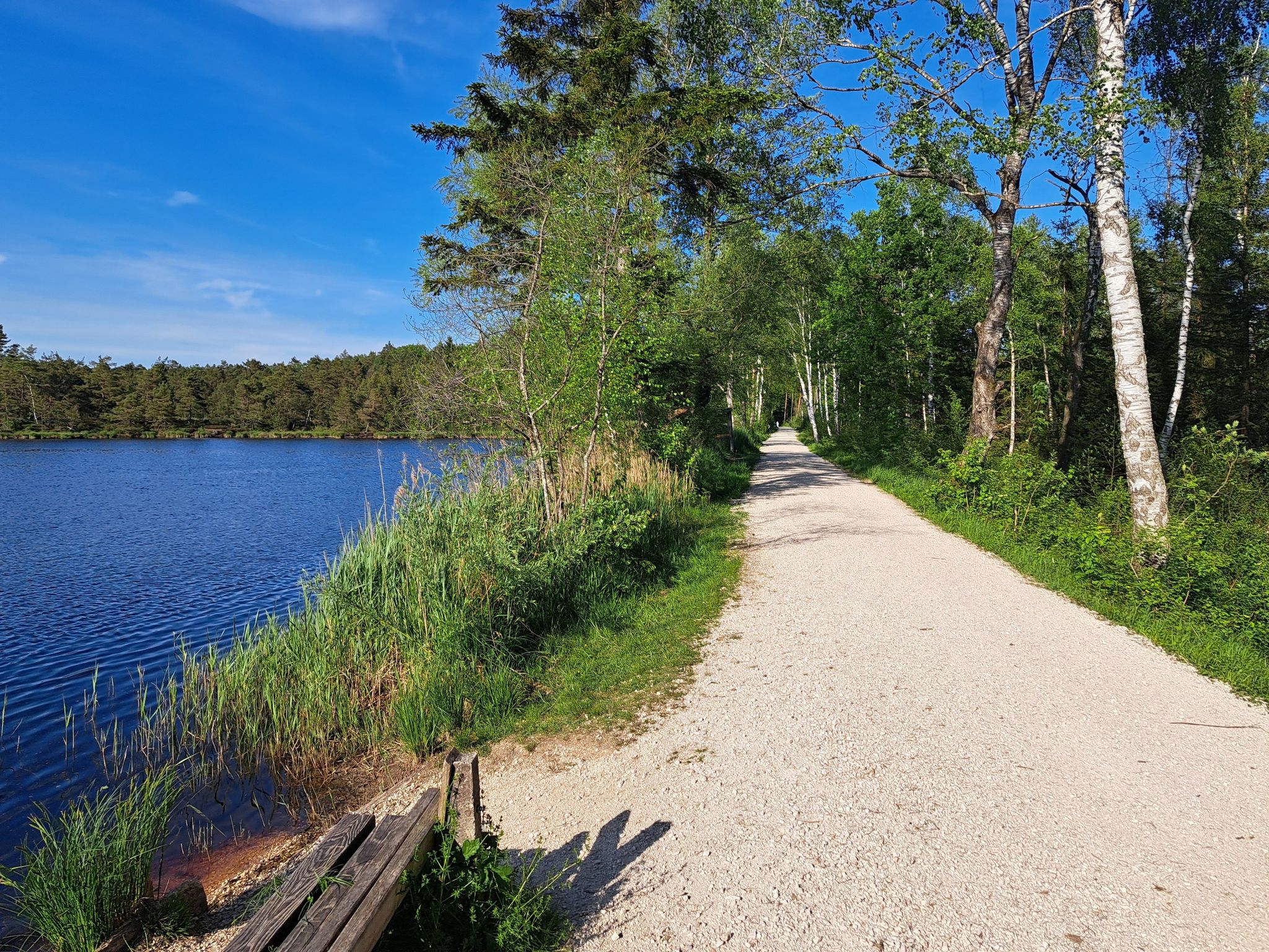 Moorweiher
