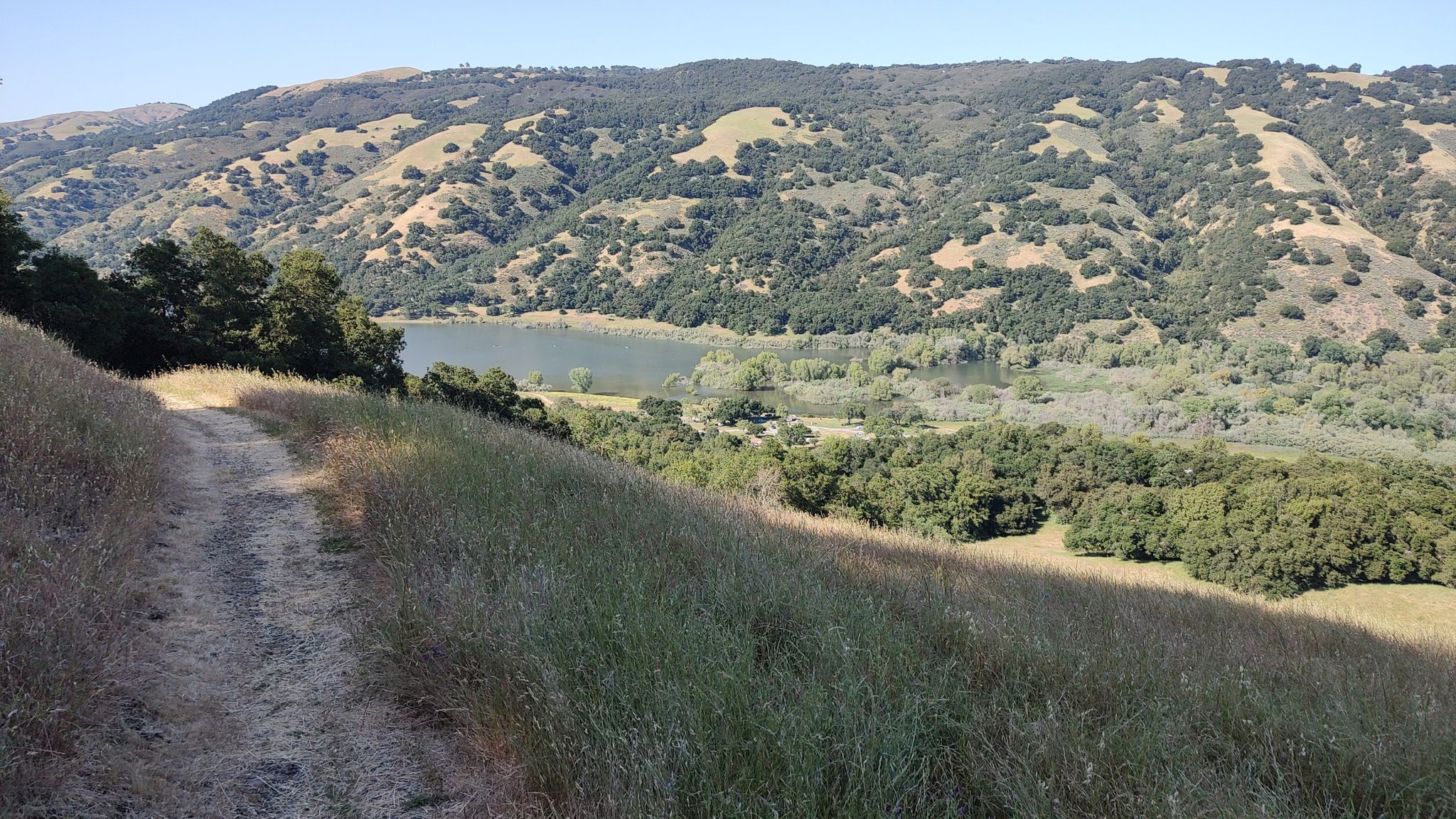 A dirt path winds through dry grassy hills overlooking a lake. - Coyote Ridge and Mummy Mountain Loop