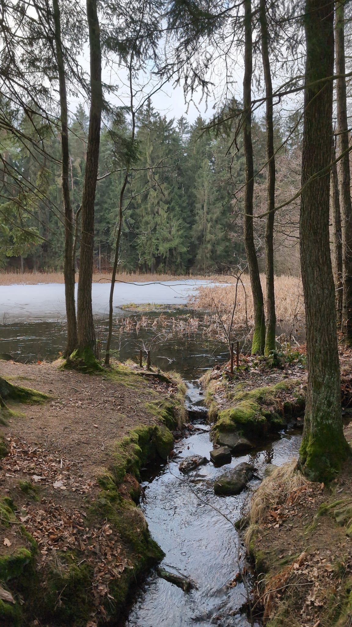 Schwarzer Teich mit Rundbogenbrücke