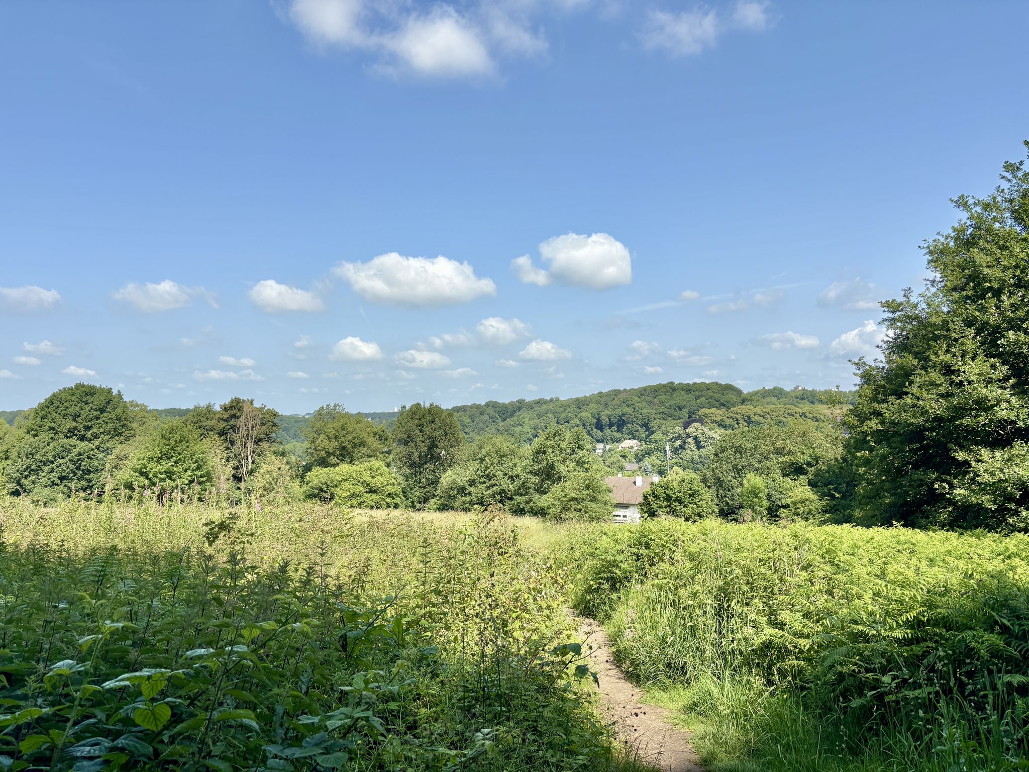 Blick vom Nützenberg Richtung Dorp
