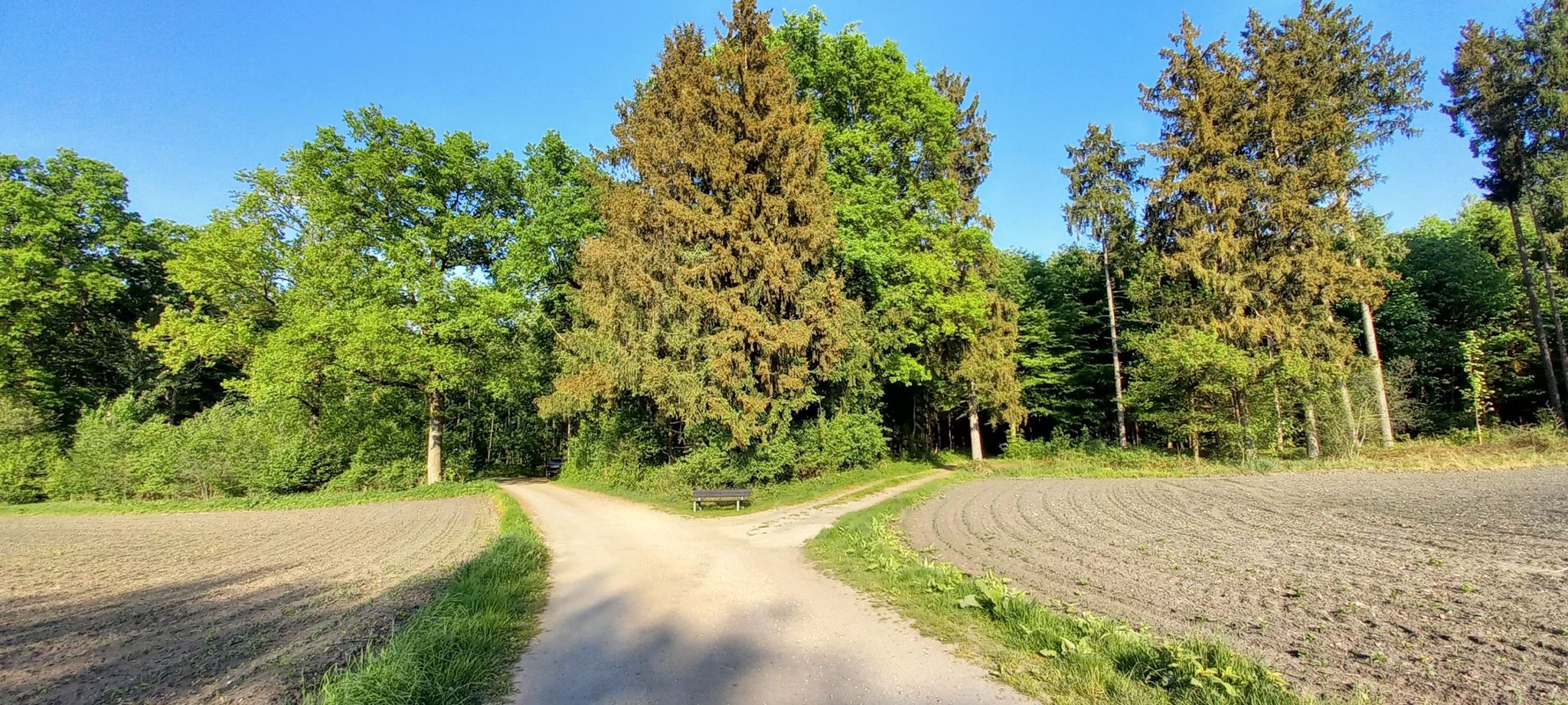 Links geht's weiter