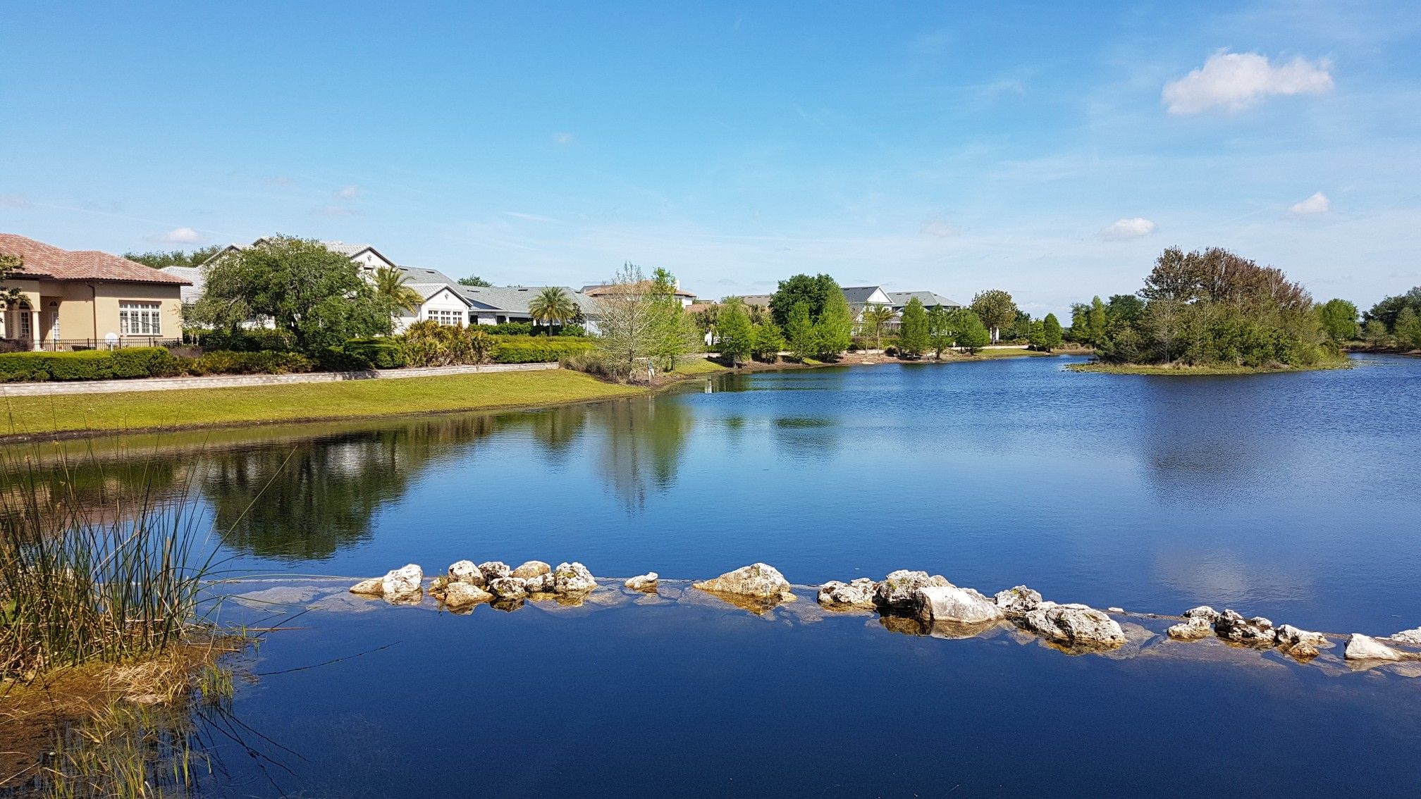 Sunny view of a calm lake bordered by houses and green trees. - Lake Baldwin and Cady Way Trail Loop