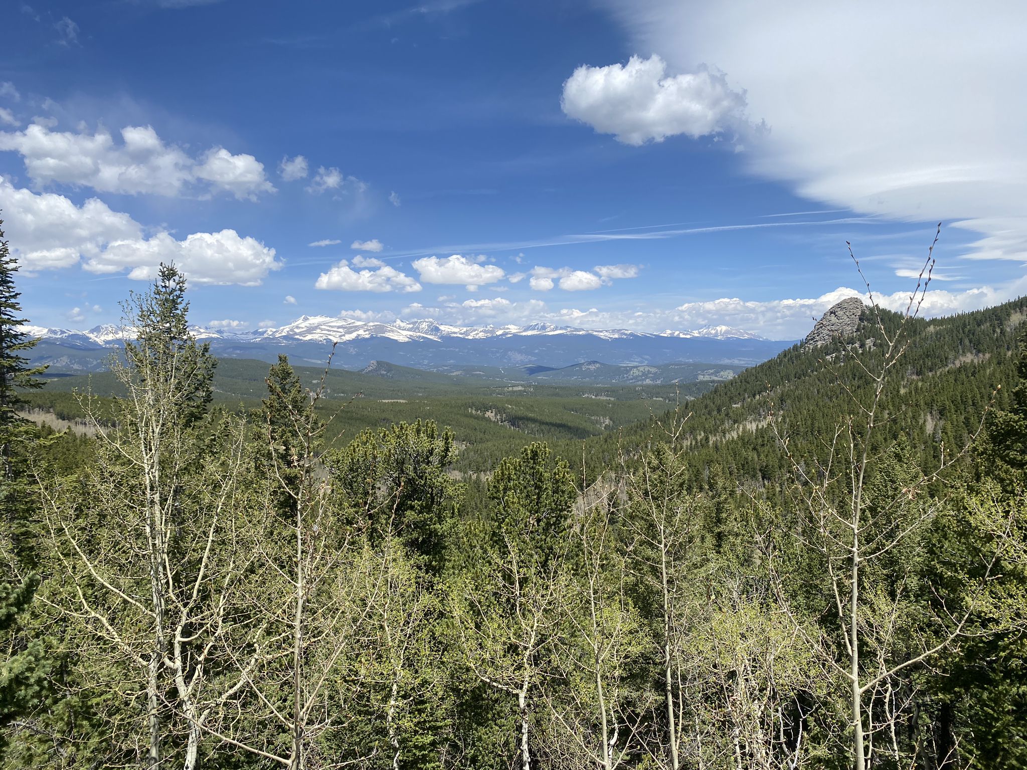 Expansive mountain vista with green forests, distant snow-capped peaks, and blue sky. - Raccoon Trail Loop