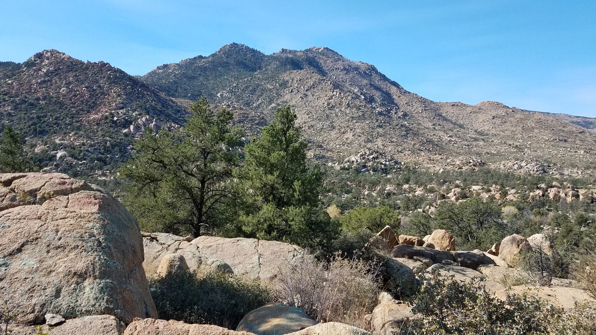 Rocky mountains and scattered trees under a clear blue sky. - Mint Wash and Mint Wash Overlook Loop