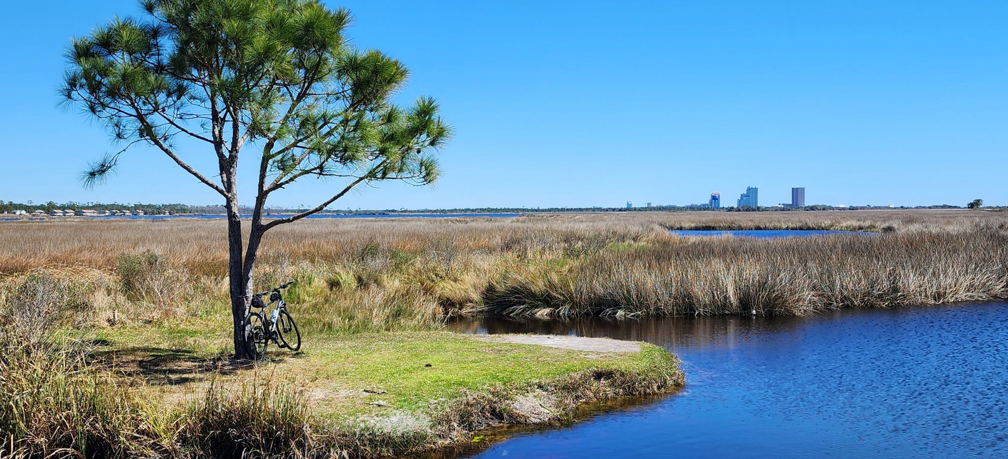 Bicycle parked by a tree overlooking sunny marshland and calm water. - Lake View Trail loop