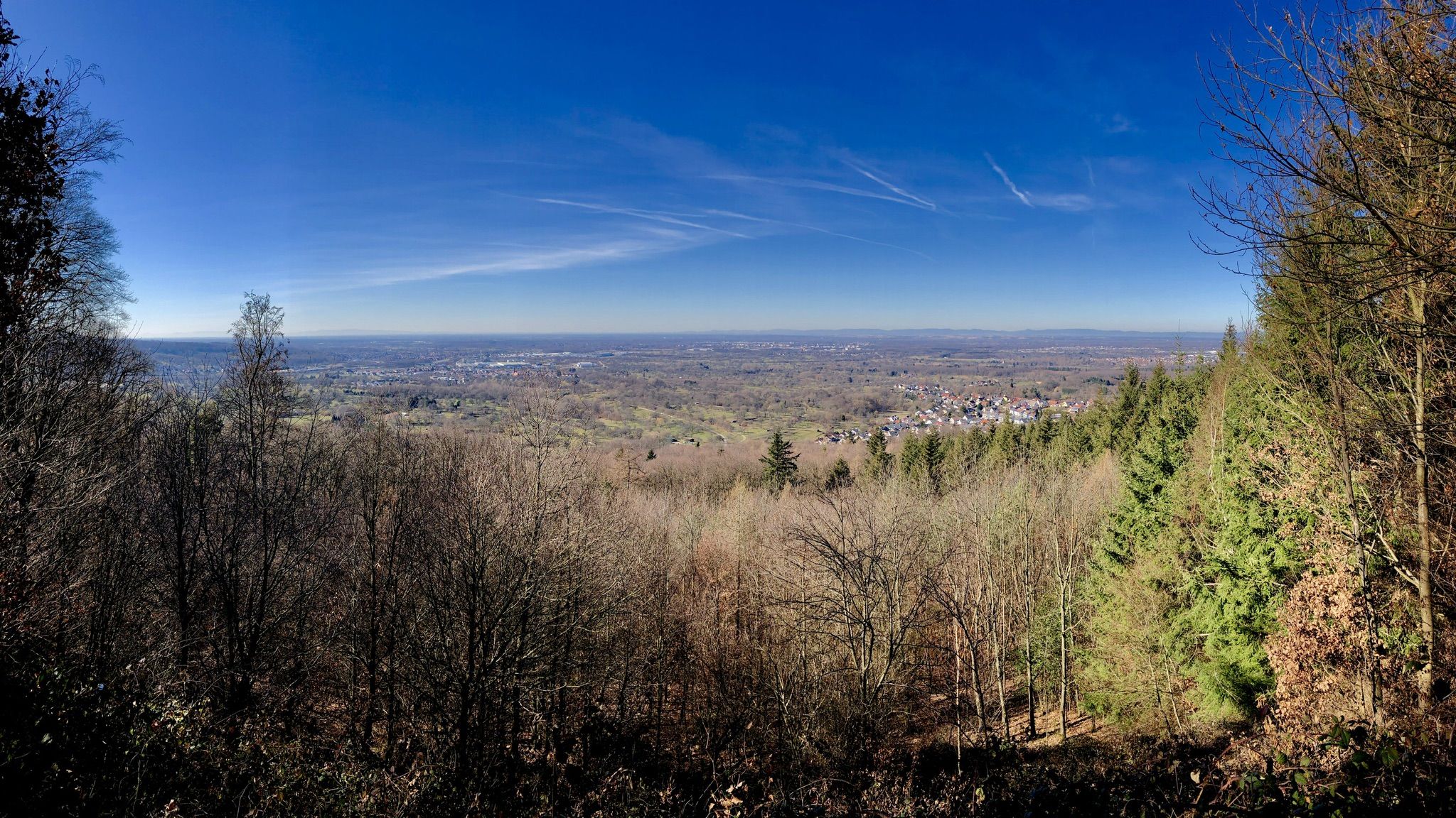 Blick zur Rheinebene