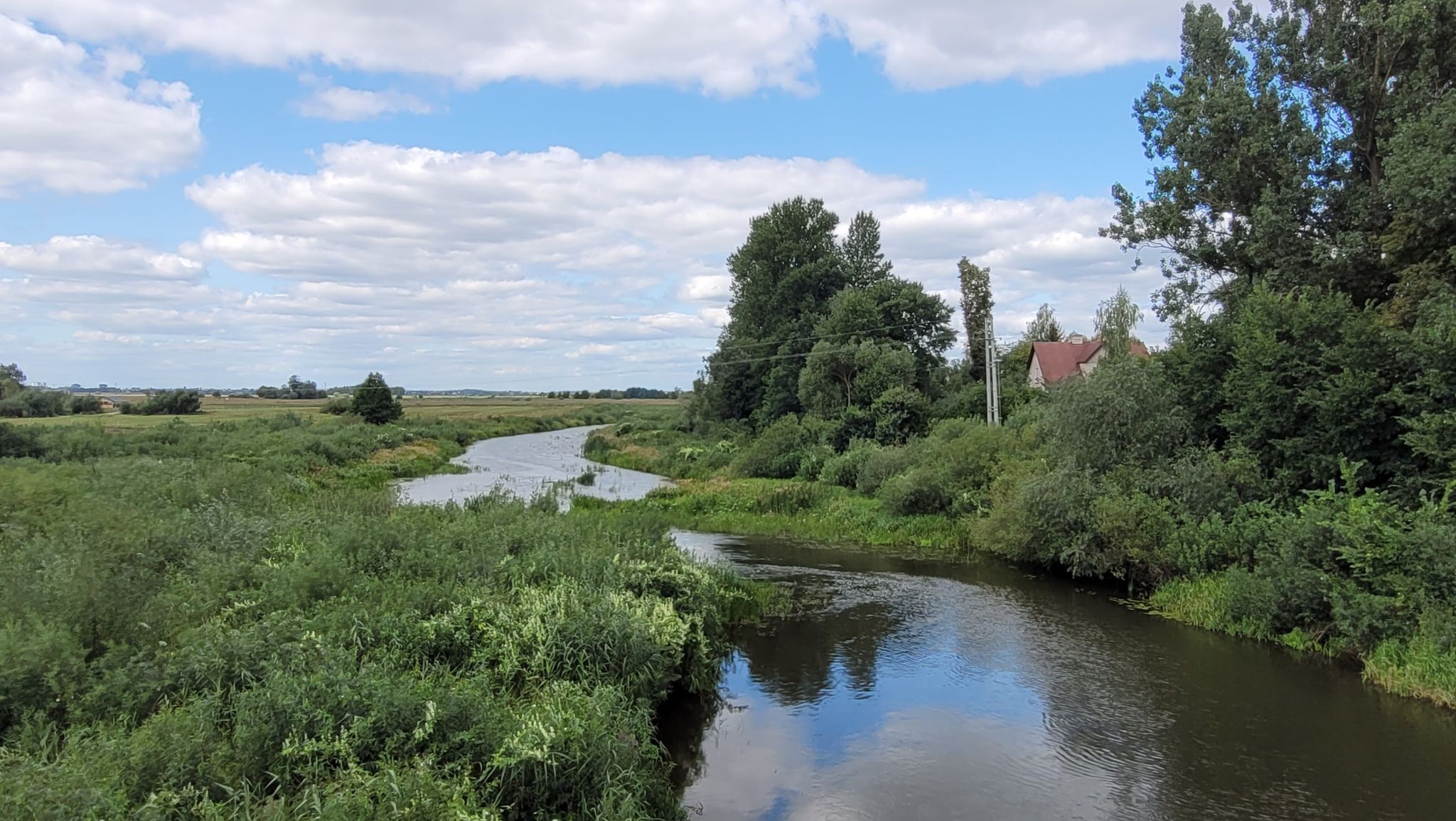 Rzeka Narew w Surażu.
