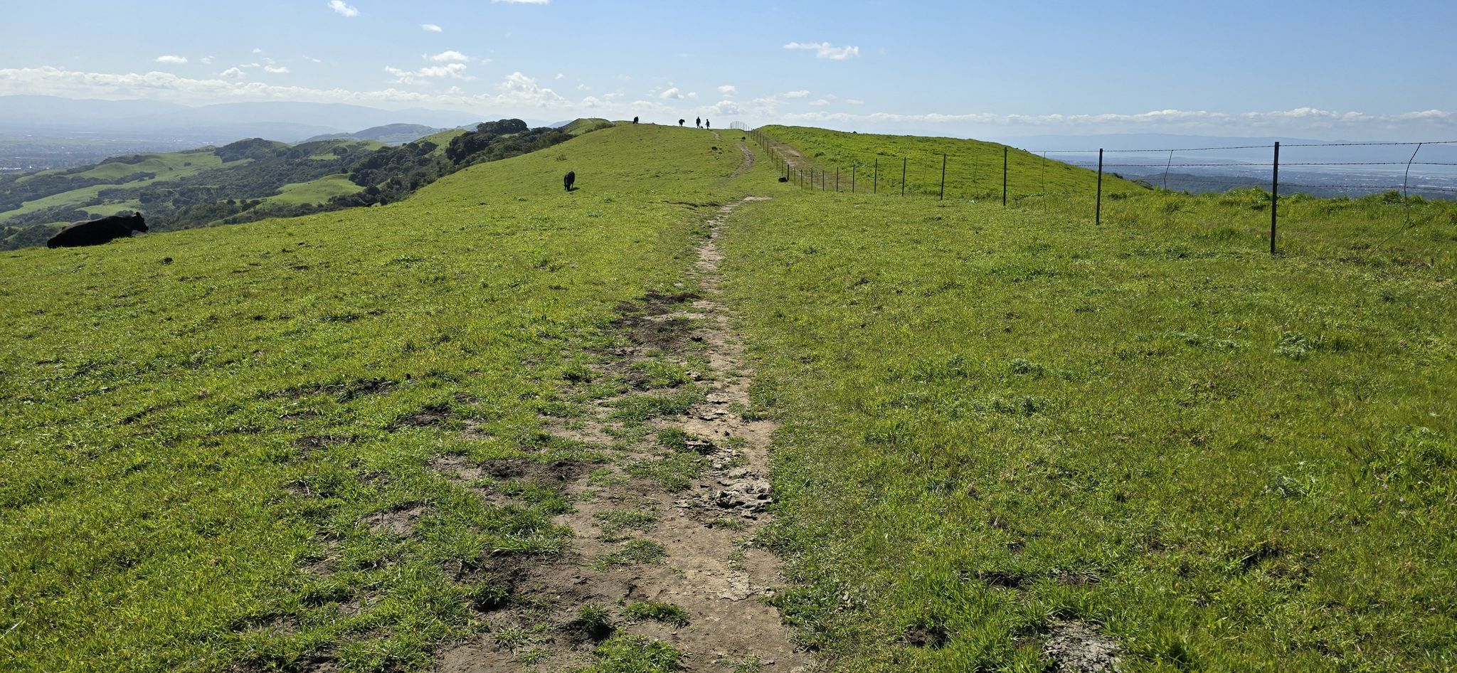 A dirt path leads up a bright green hill with distant hikers. - Las Trampas and Rocky Ridge Loop