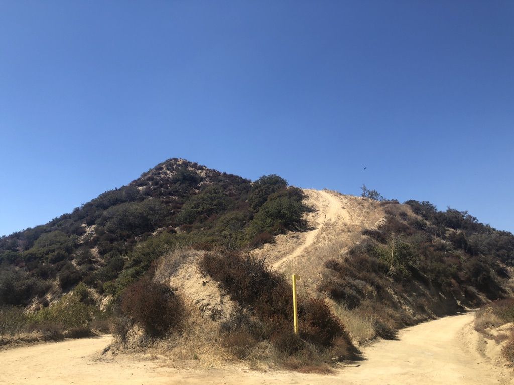 Dirt trail winding up a brush-covered hill under a bright blue sky. - Verdugo Peak – La Tuna Canyon Road loop from La Cañada Flintridge