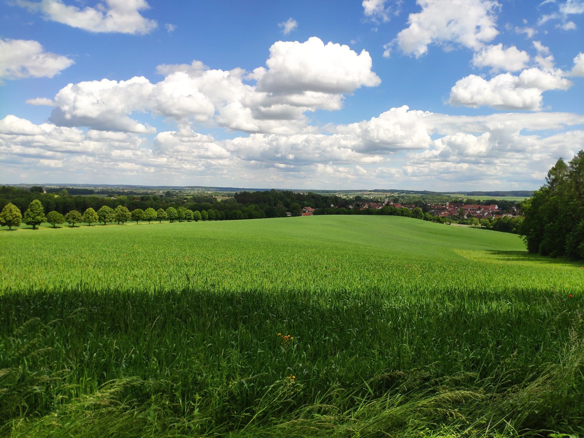 Ausblick auf Pöttmes