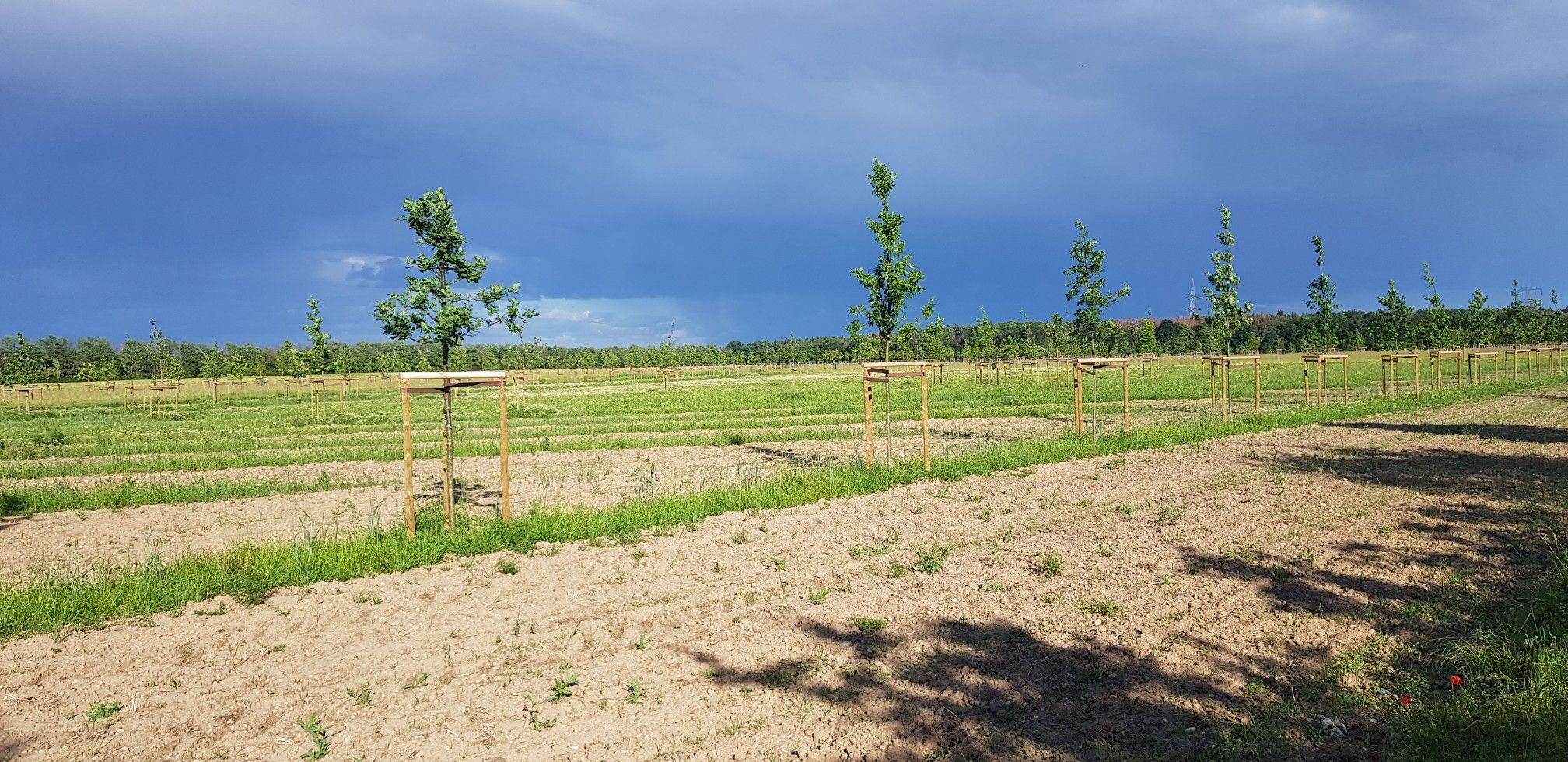 Hambach Umgebung