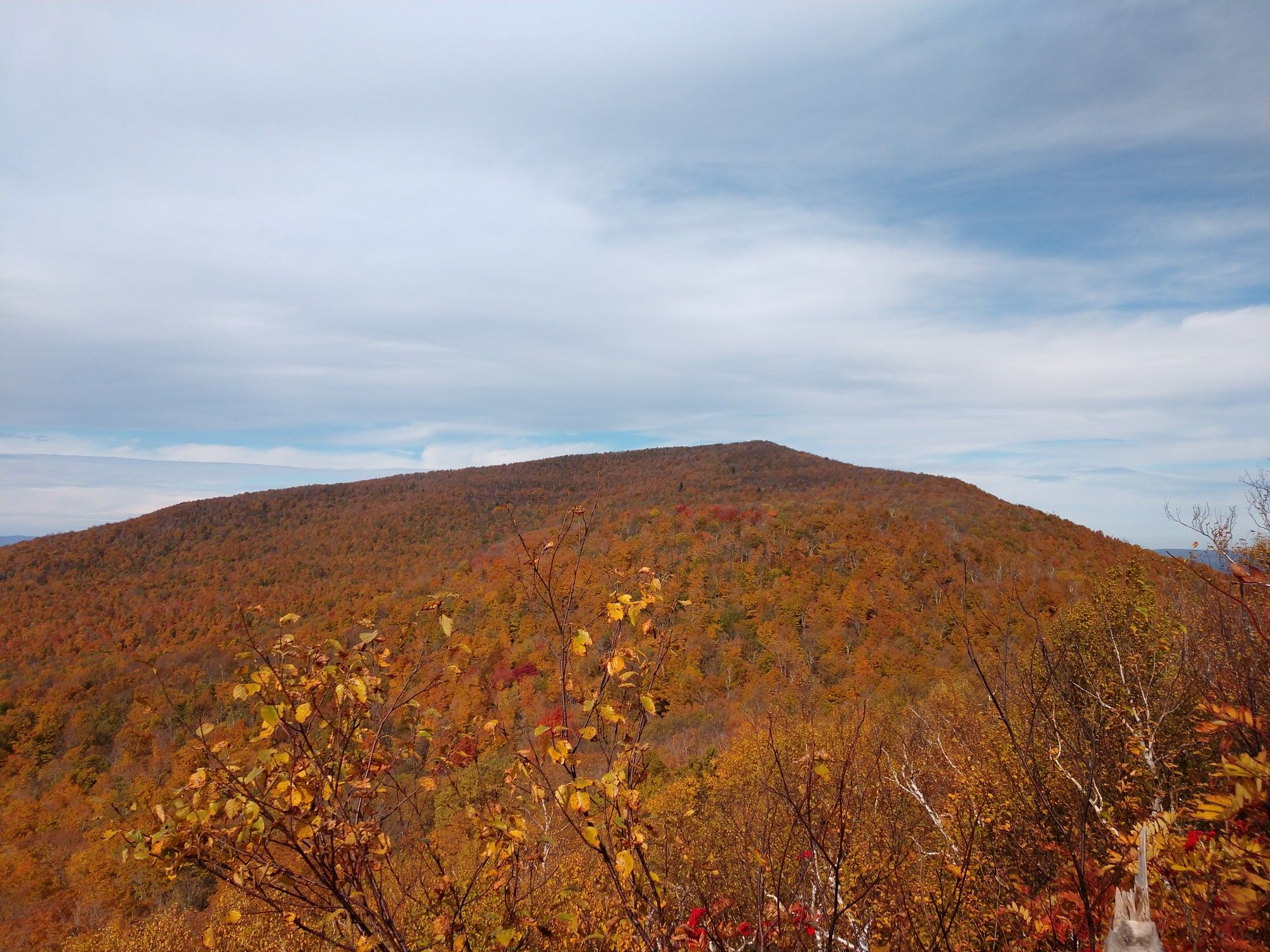 Mountain covered in vibrant autumn foliage under a partly cloudy sky. - Windham High Peak via Black Dome Range Trailhead