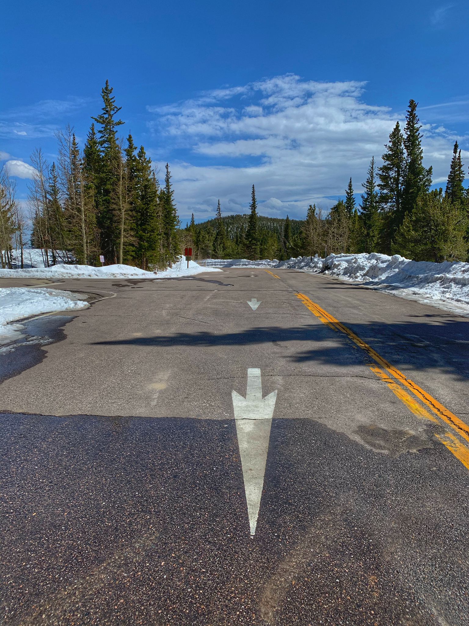 Paved road with a large white arrow, surrounded by snow and pine trees. - Wapiti and Sourdough Trail Loop