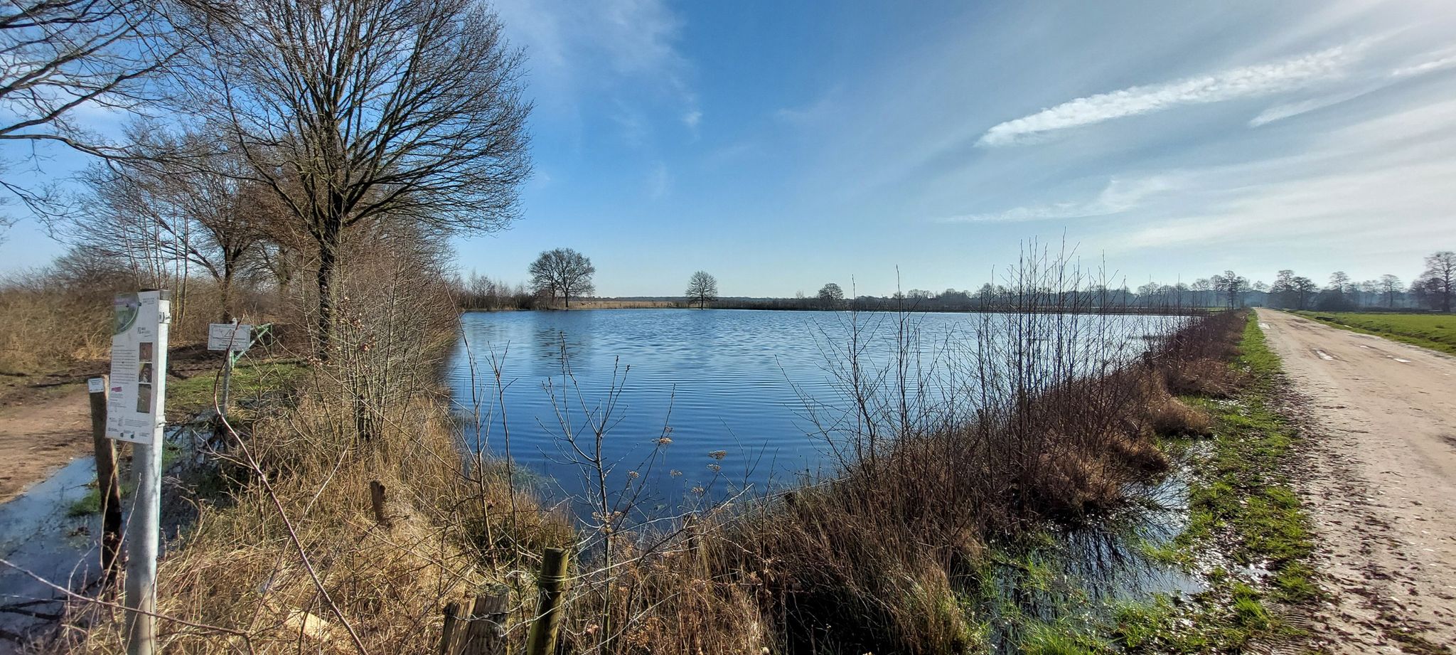 Ganz viel Wasser auf dieser Wiese.