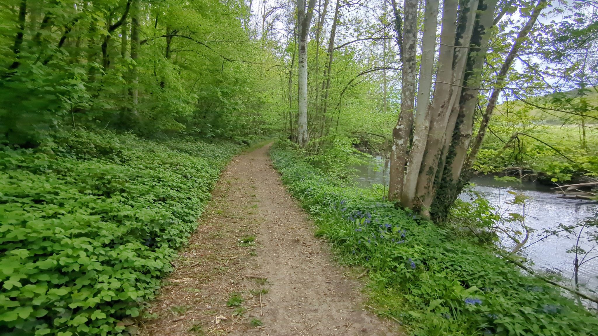 Chemin en bord de Blaise