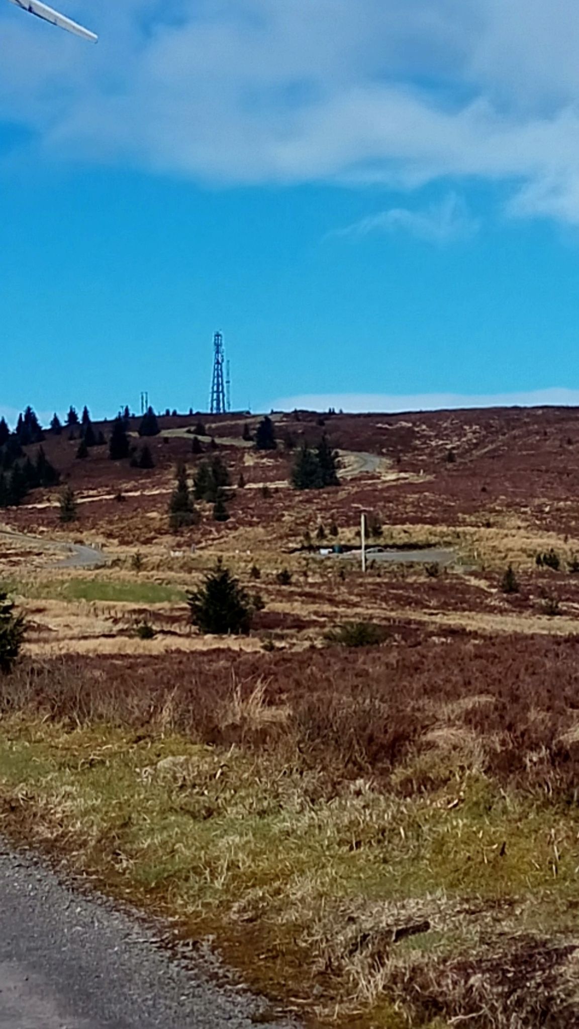 Switchbacks