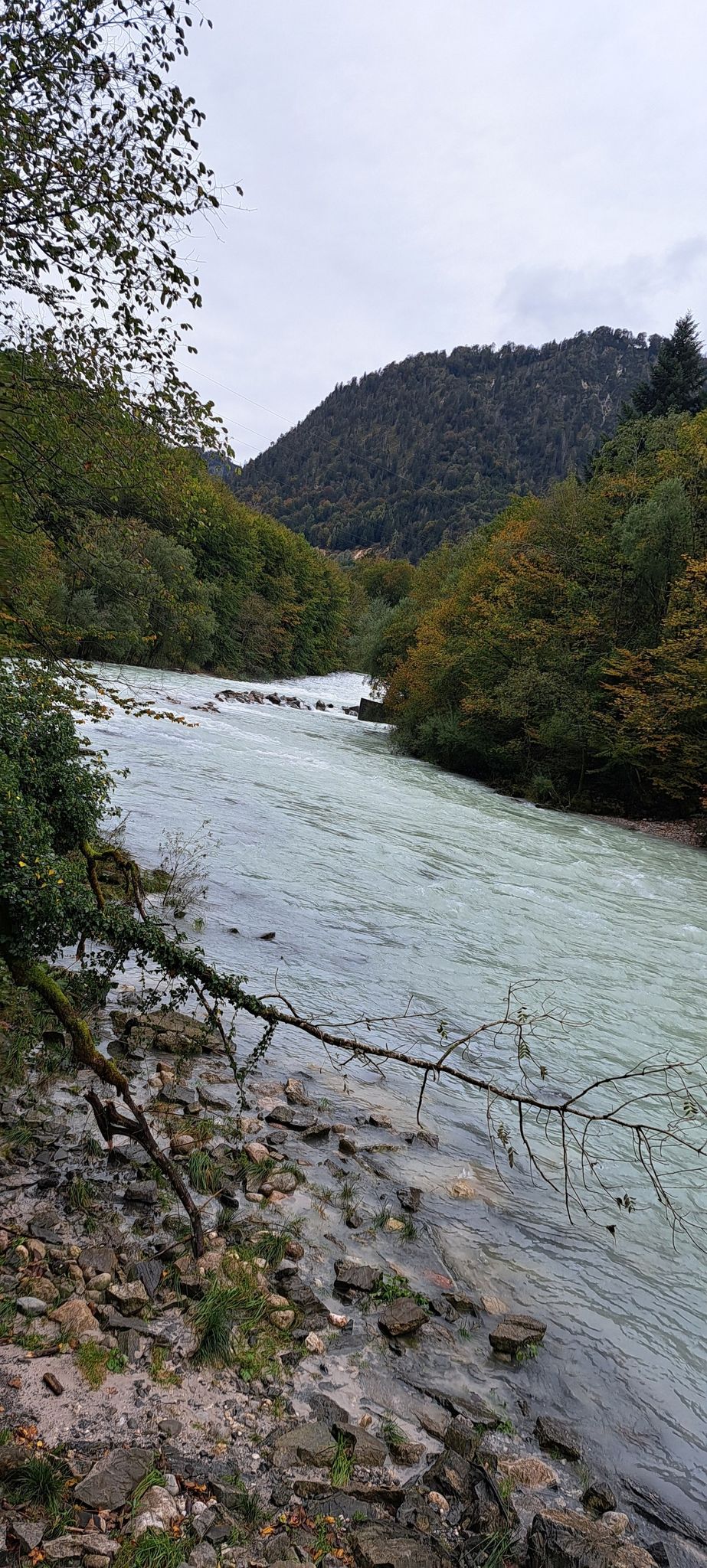 Almbach