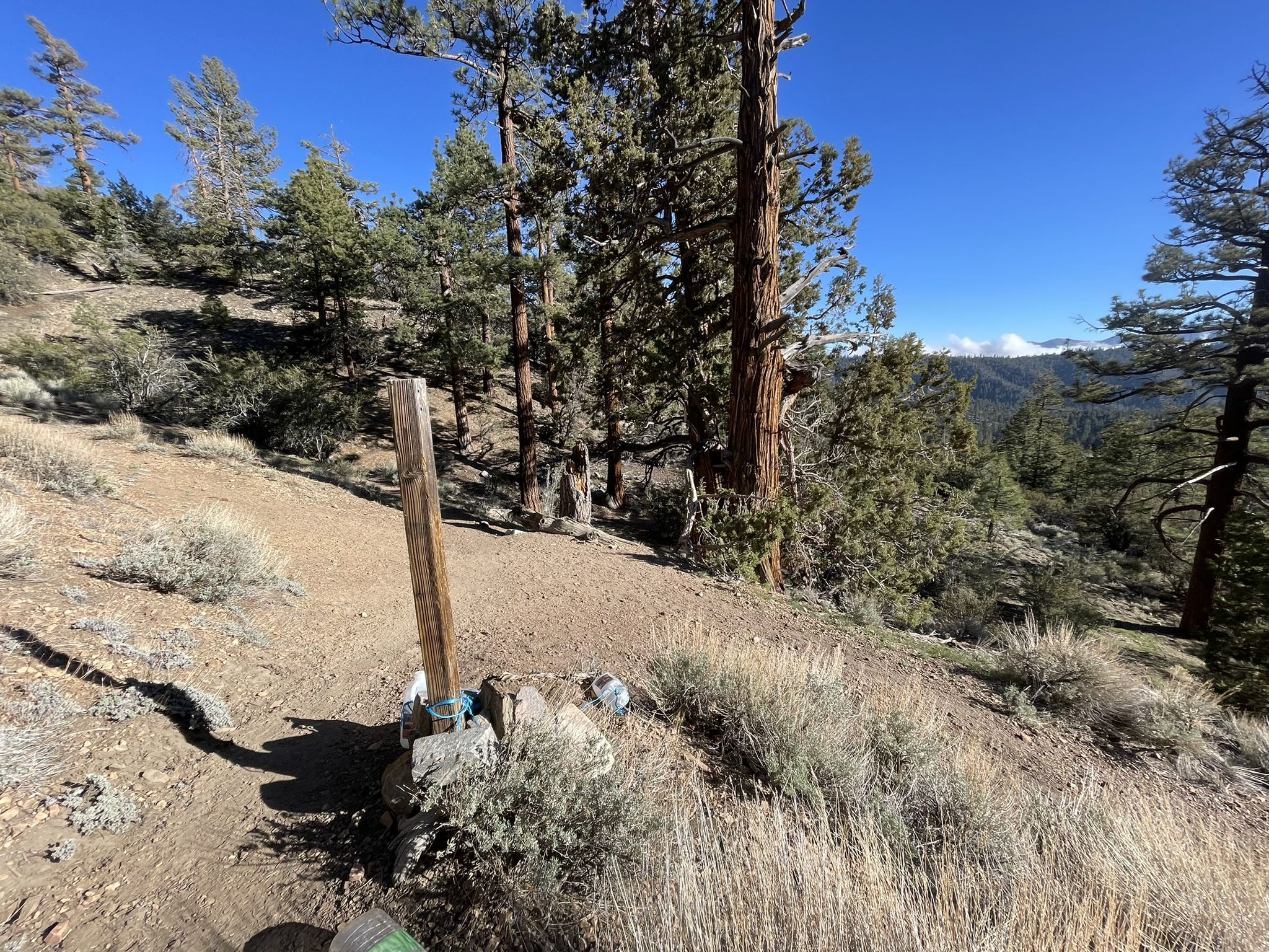 A sunny dirt trail winds through pine trees and dry brush on a mountain. - Onyx Peak