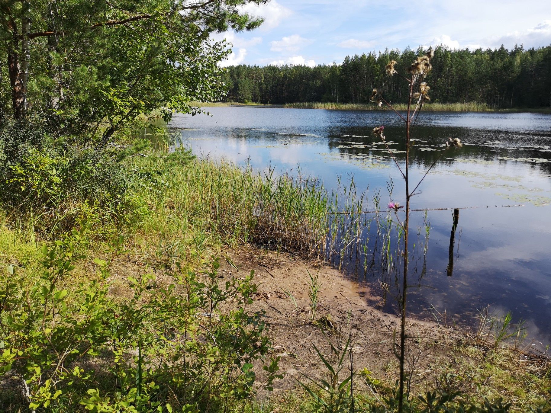 Kurtna Ahnejärv