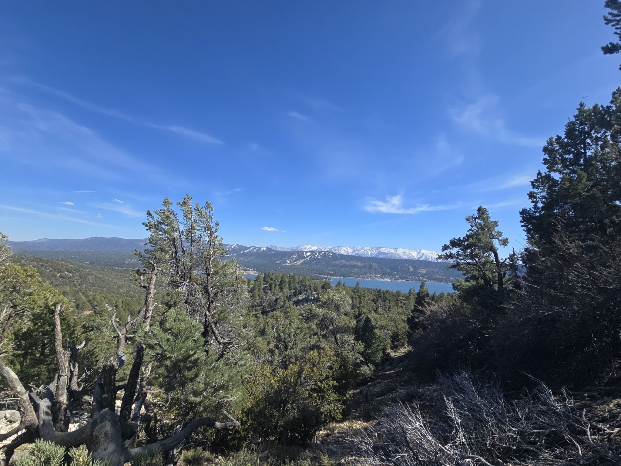 A scenic view of a lake and snowy mountains through green pine trees. - Cougar Crest Trail