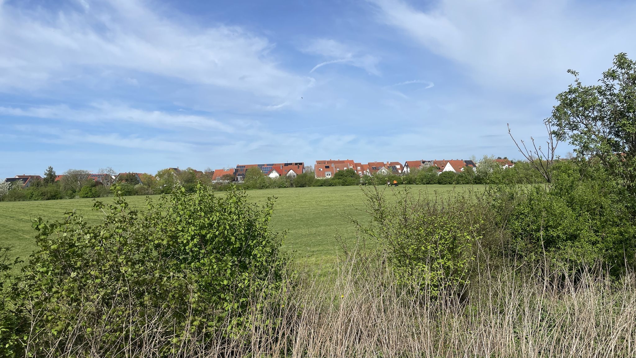 Die Hundewiese in Walldorf