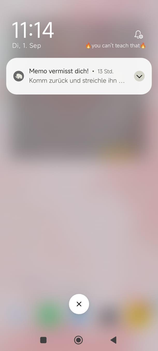 user avatar