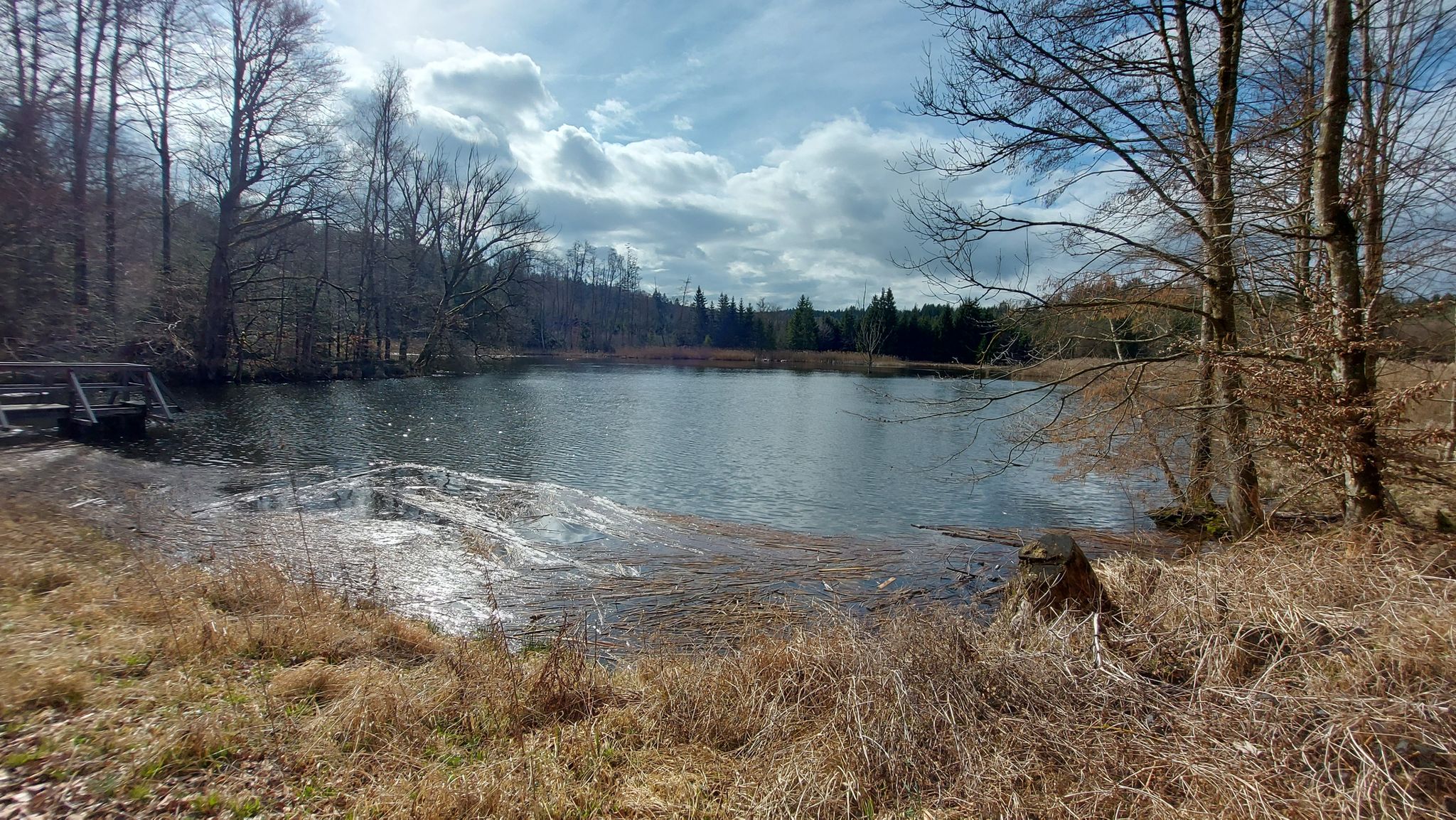 Tafelweiher 