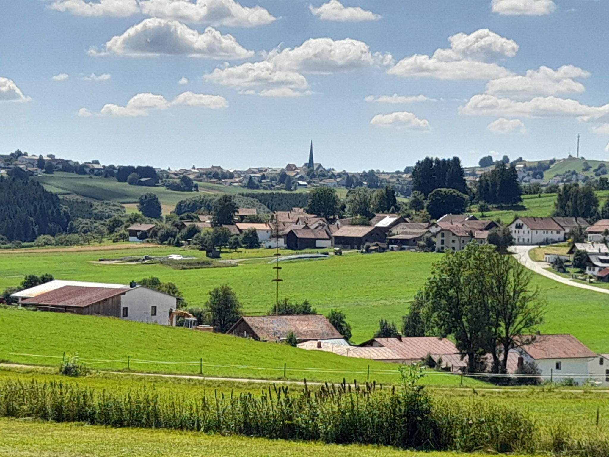 Im Hintergrund Wegscheid