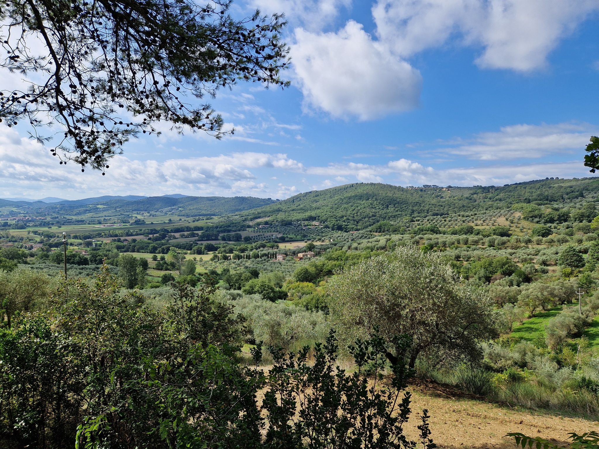 Magione II