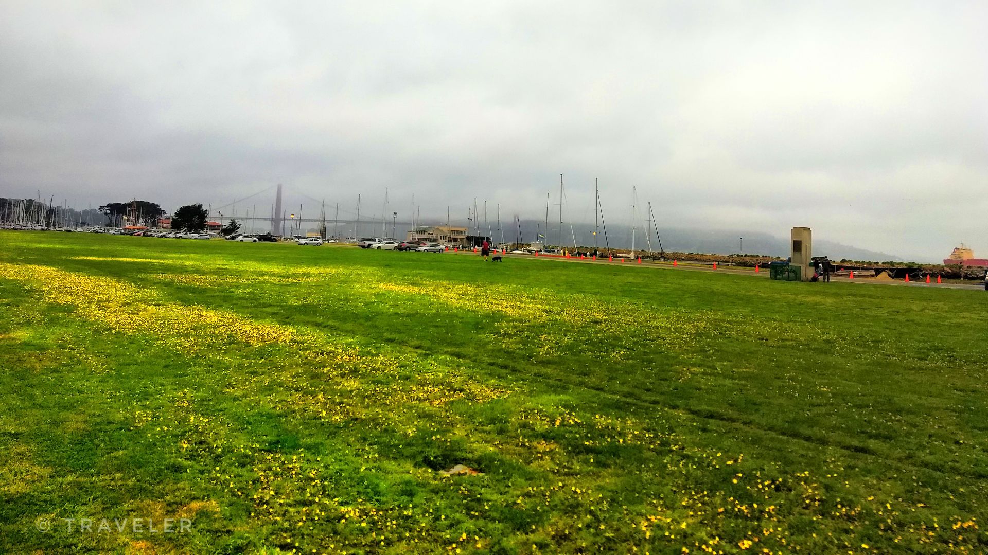 Wide green field under an overcast sky with distant boats and buildings. - Marina Green