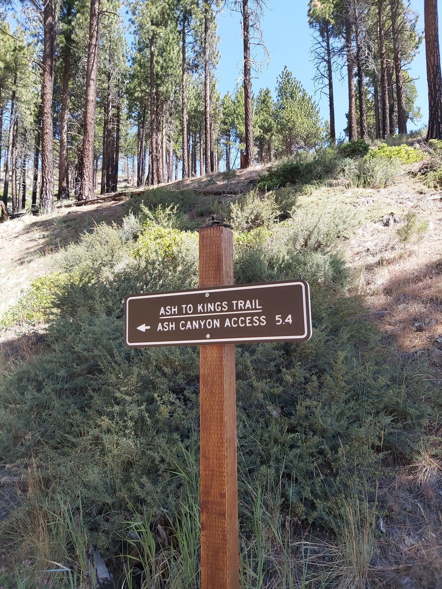 A brown trail sign on a wooden post stands on a sunny, forested hillside. - Kings Canyon Upper Waterfall Loop