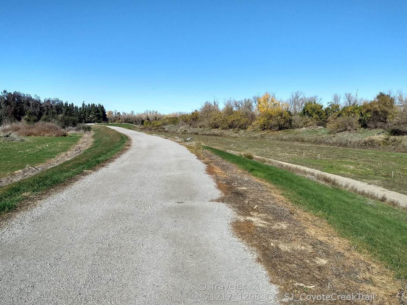 Gravel path winding through green and dry fields under a clear sky. - Coyote Creek Trail