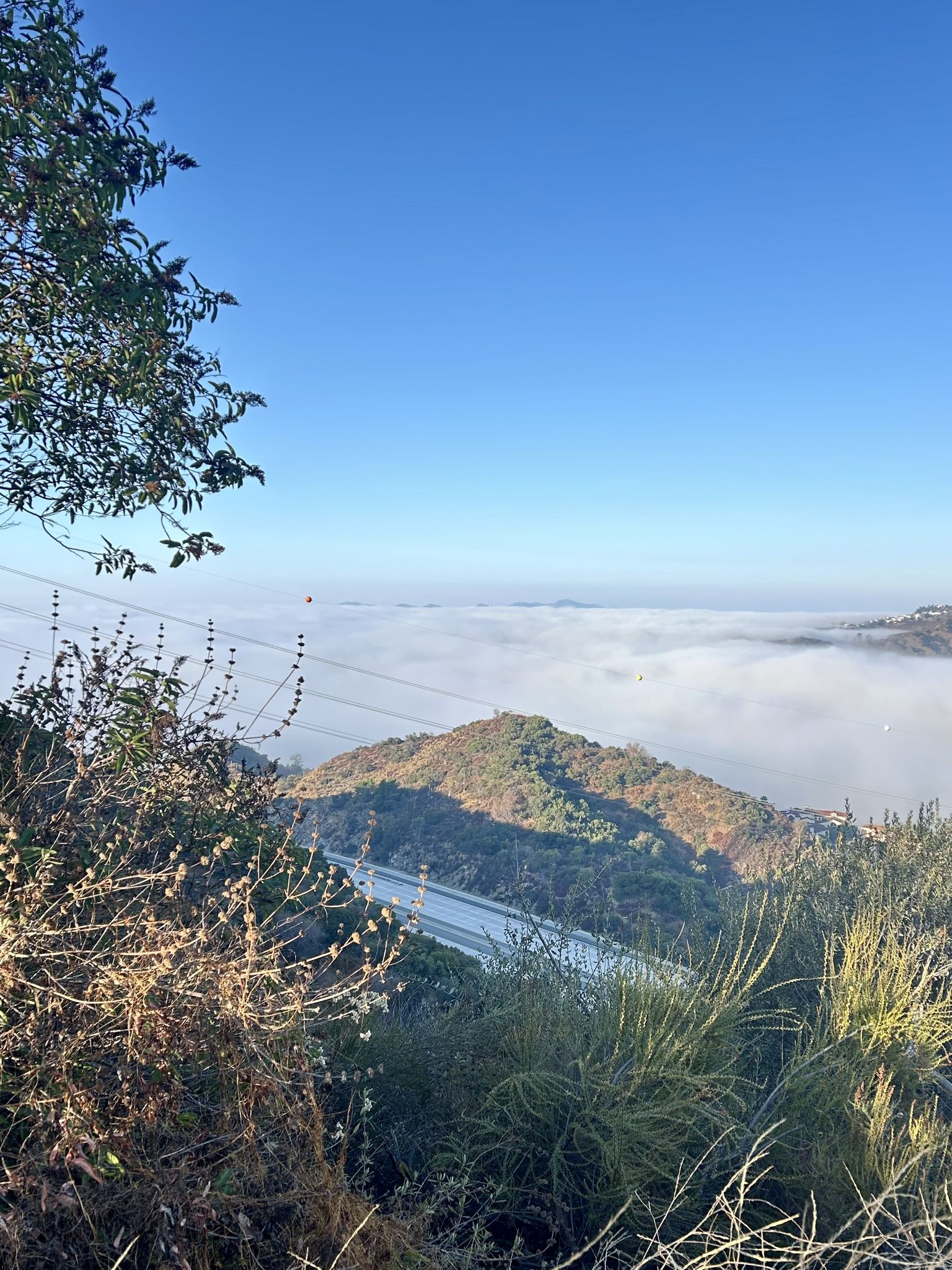 Fog Blanket Over Downtown Glendale