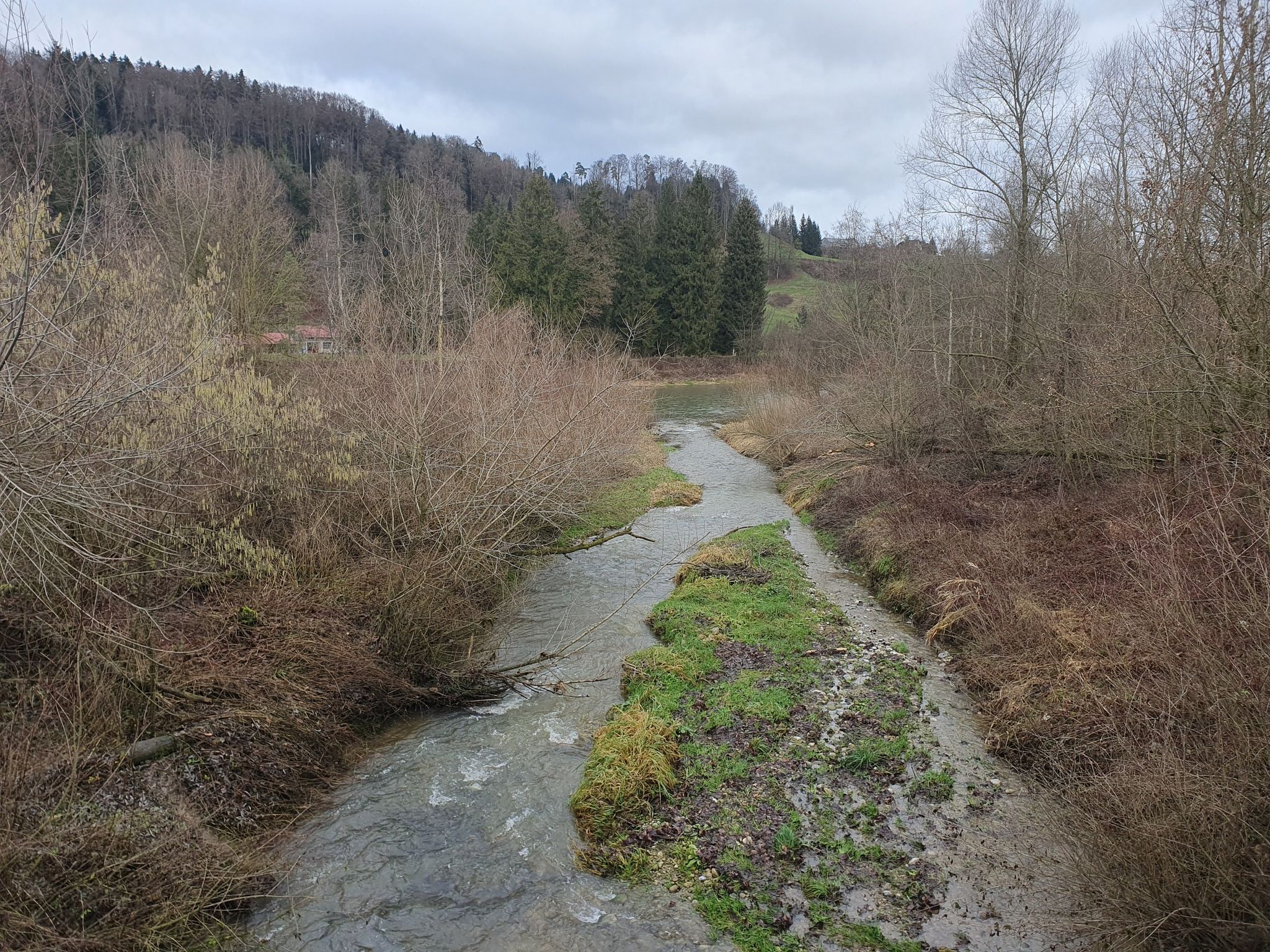 Arneggerbach in Thur mündend