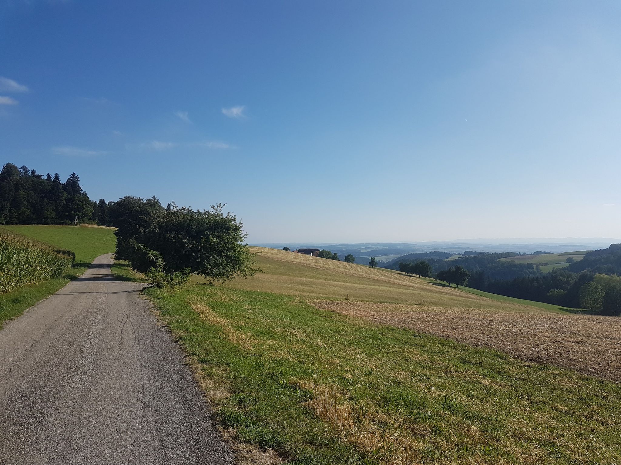 Kurz vor'm Aussichtspunkt. Aber Vorsicht, auf dem Bauernhof davor ist ein schlecht gelaunter Hund. Zum Glück ging's nicht bergauf :D