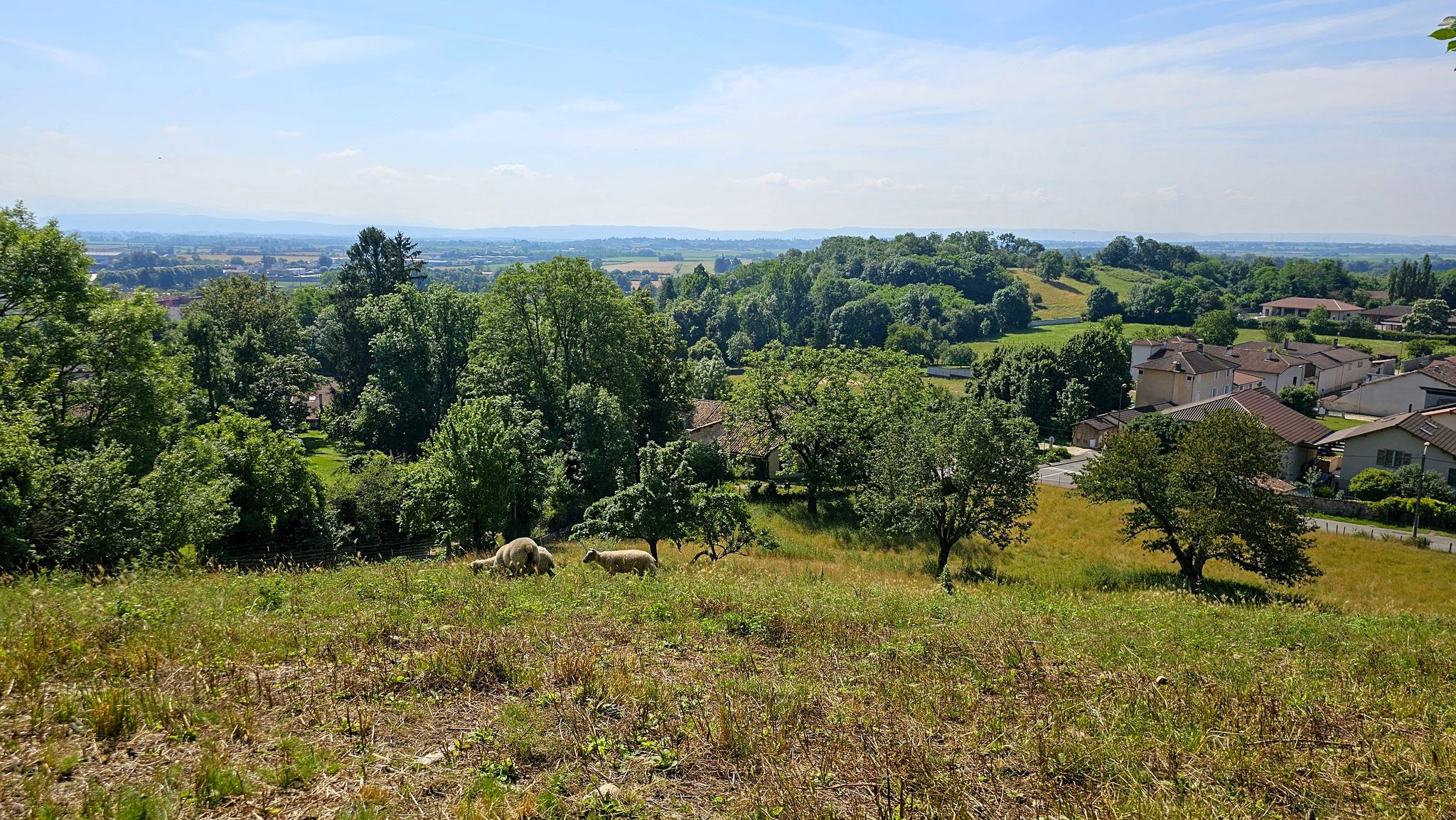 Der Weg entlang der Stadtmauer, gewährt uns eine landschaftlichen Blick über die Ebene des "Ain".