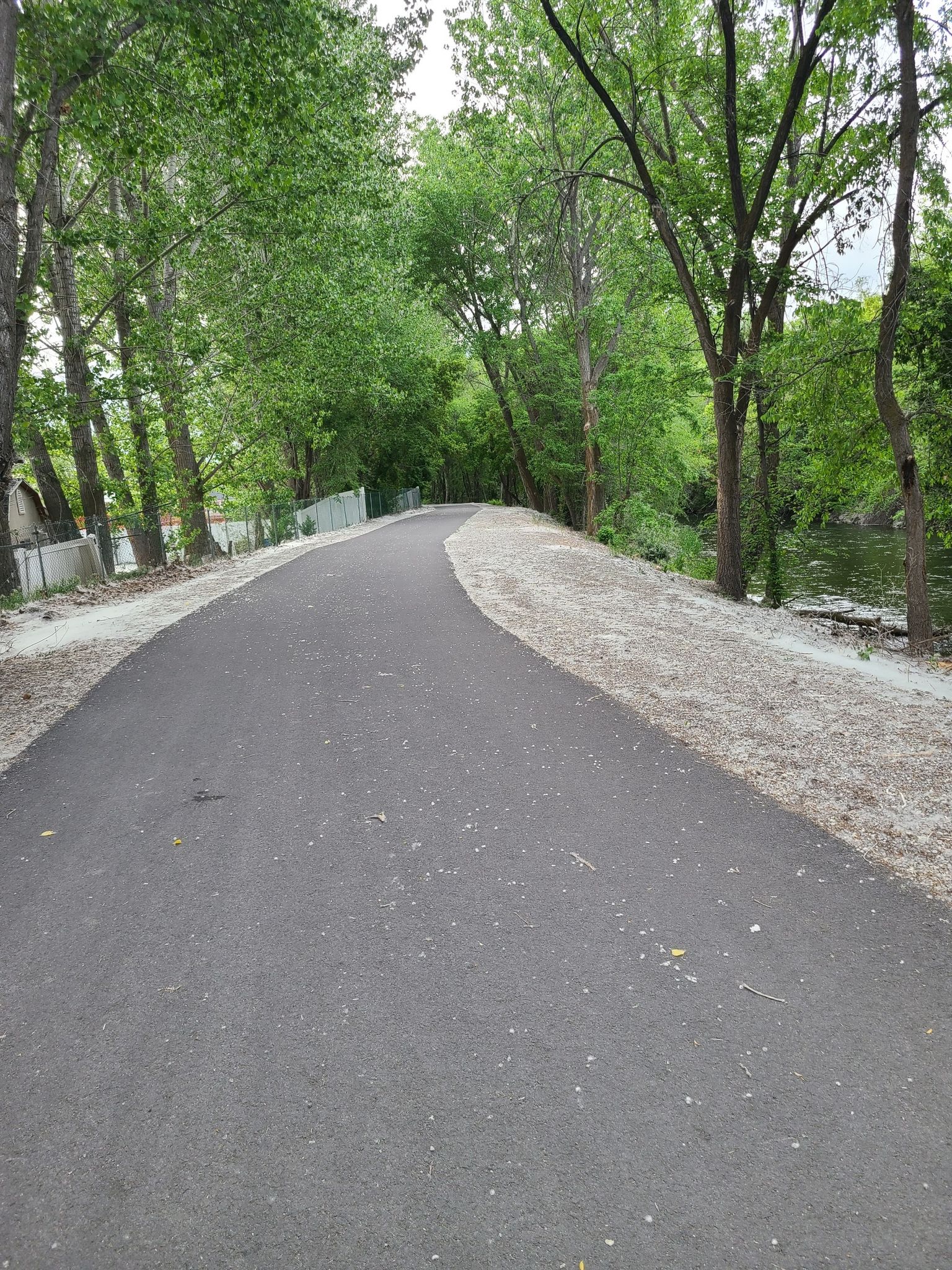 A winding paved path through lush green trees with water visible. - Provo River Parkway